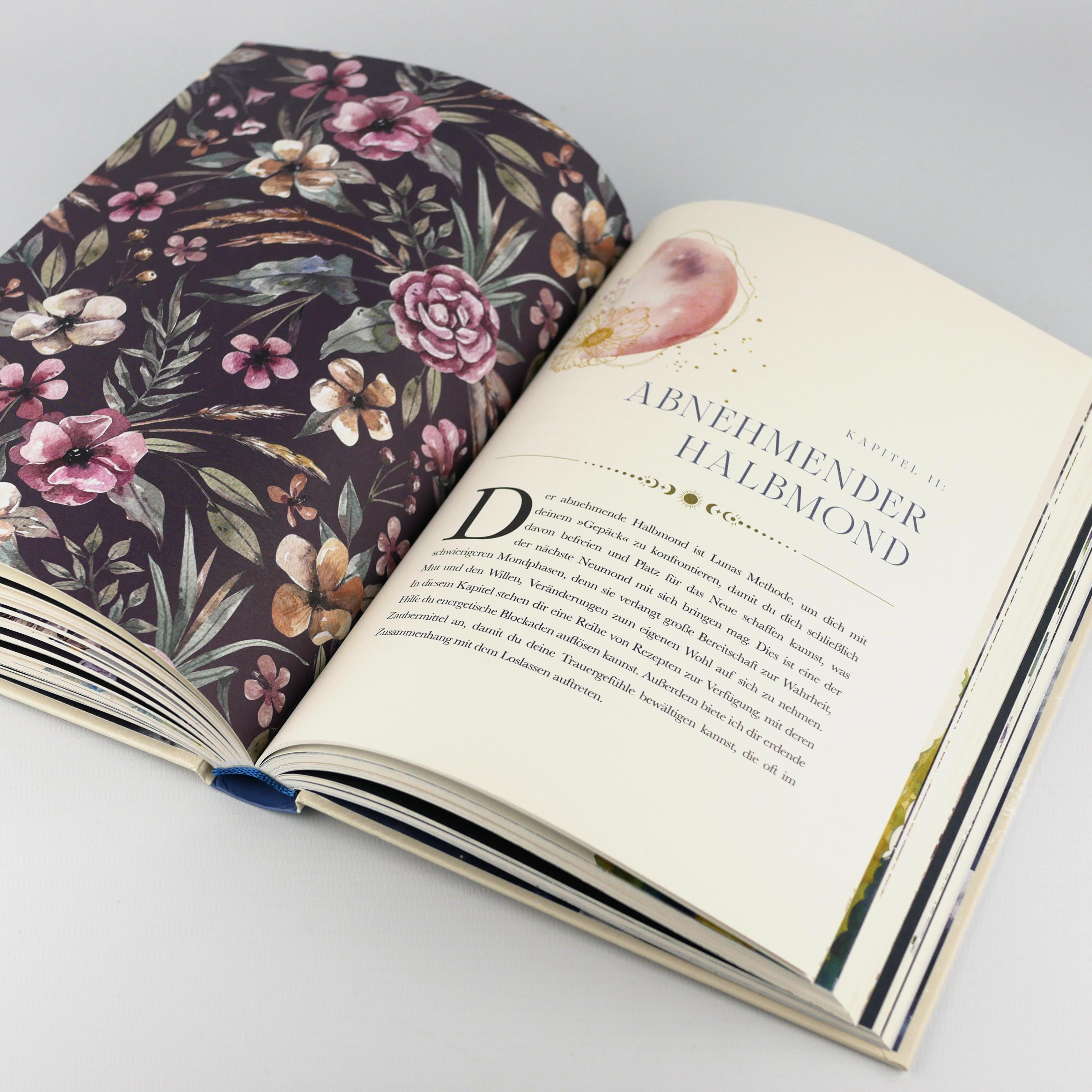 Beispielinhalt (Bild) Die Mond-Apotheke