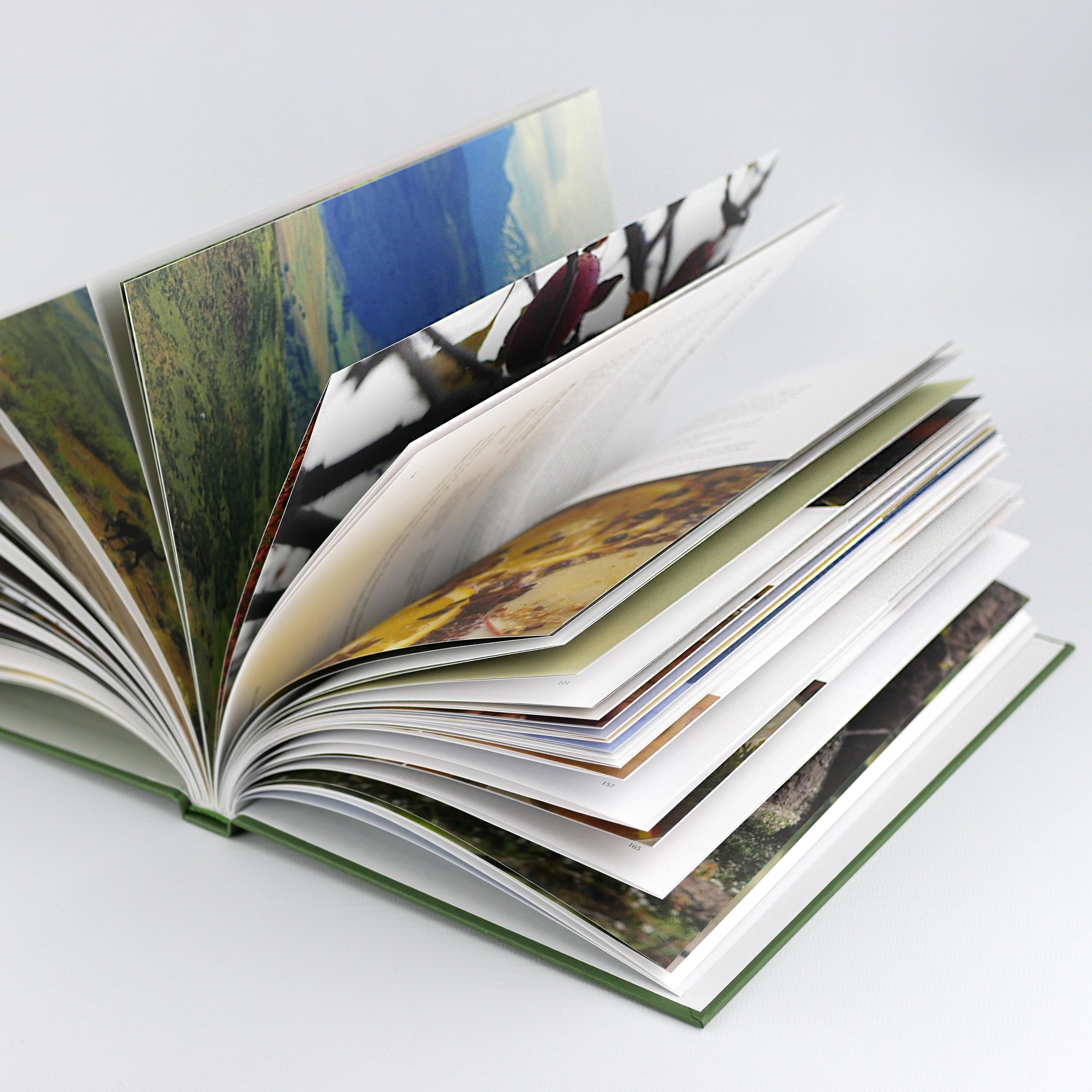 Beispielinhalt (Bild) Die Cottage Fairy