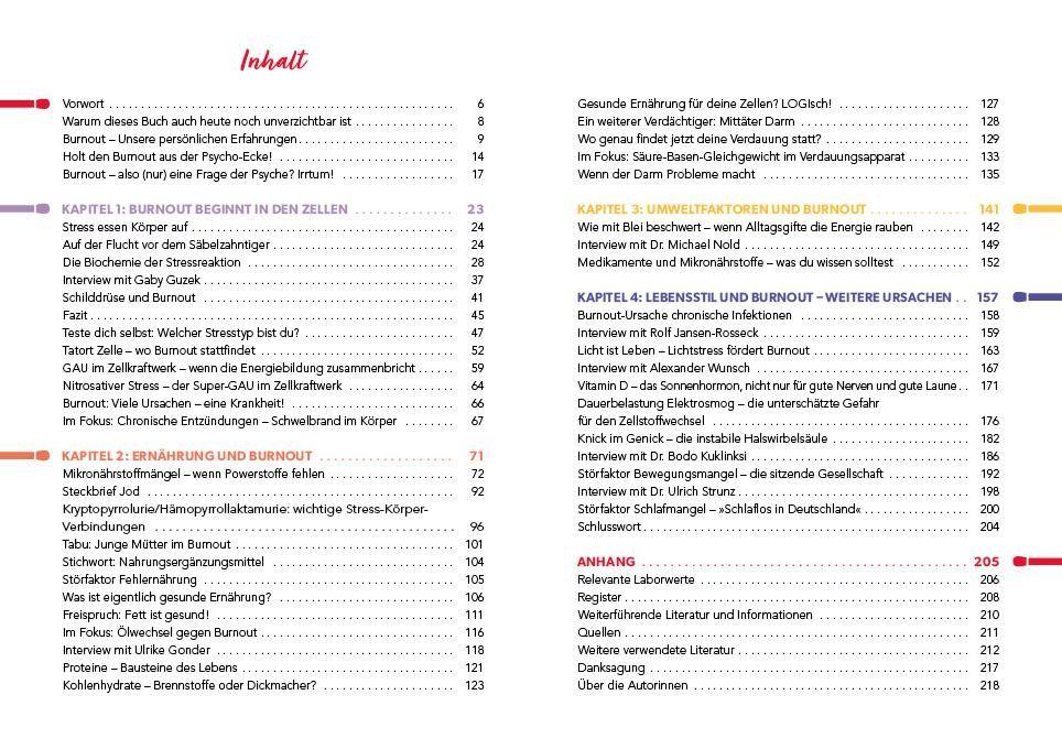 Beispielinhalt (Bild) Der Burnout-Irrtum