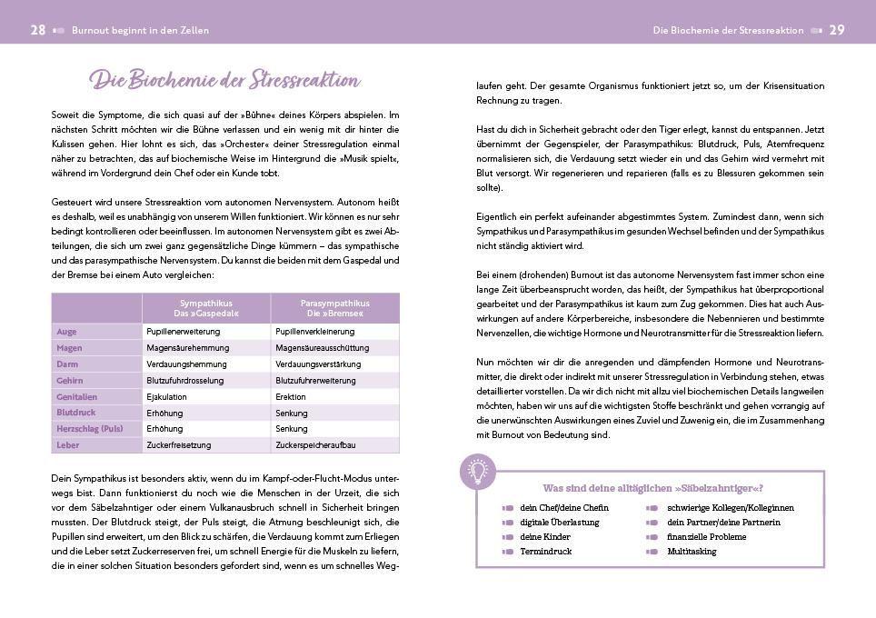 Beispielinhalt (Bild) Der Burnout-Irrtum