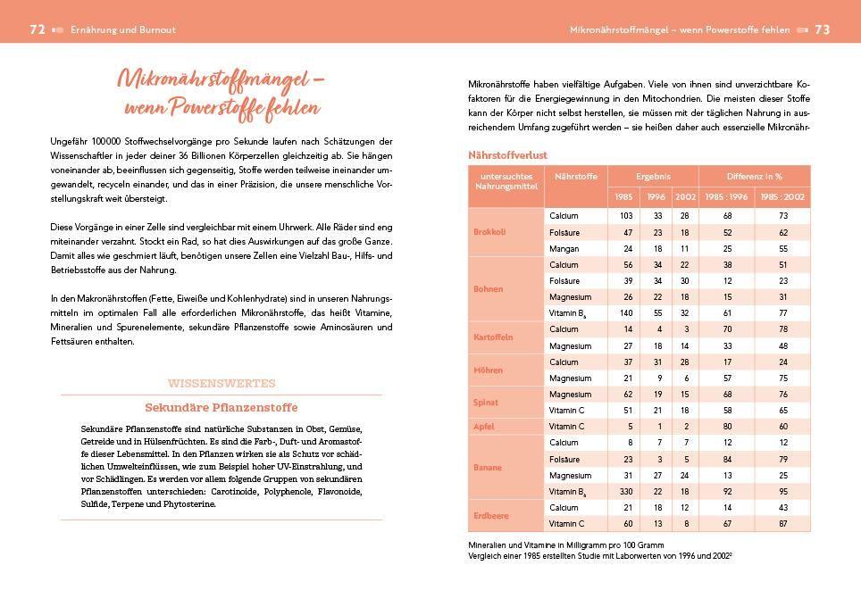 Beispielinhalt (Bild) Der Burnout-Irrtum