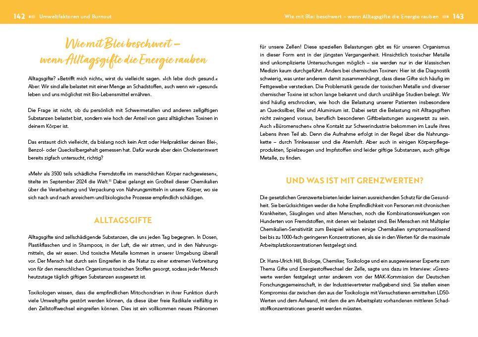 Beispielinhalt (Bild) Der Burnout-Irrtum