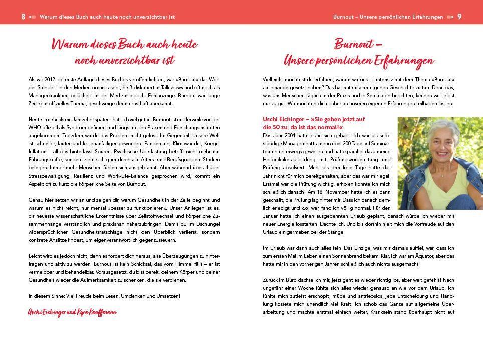 Beispielinhalt (Bild) Der Burnout-Irrtum