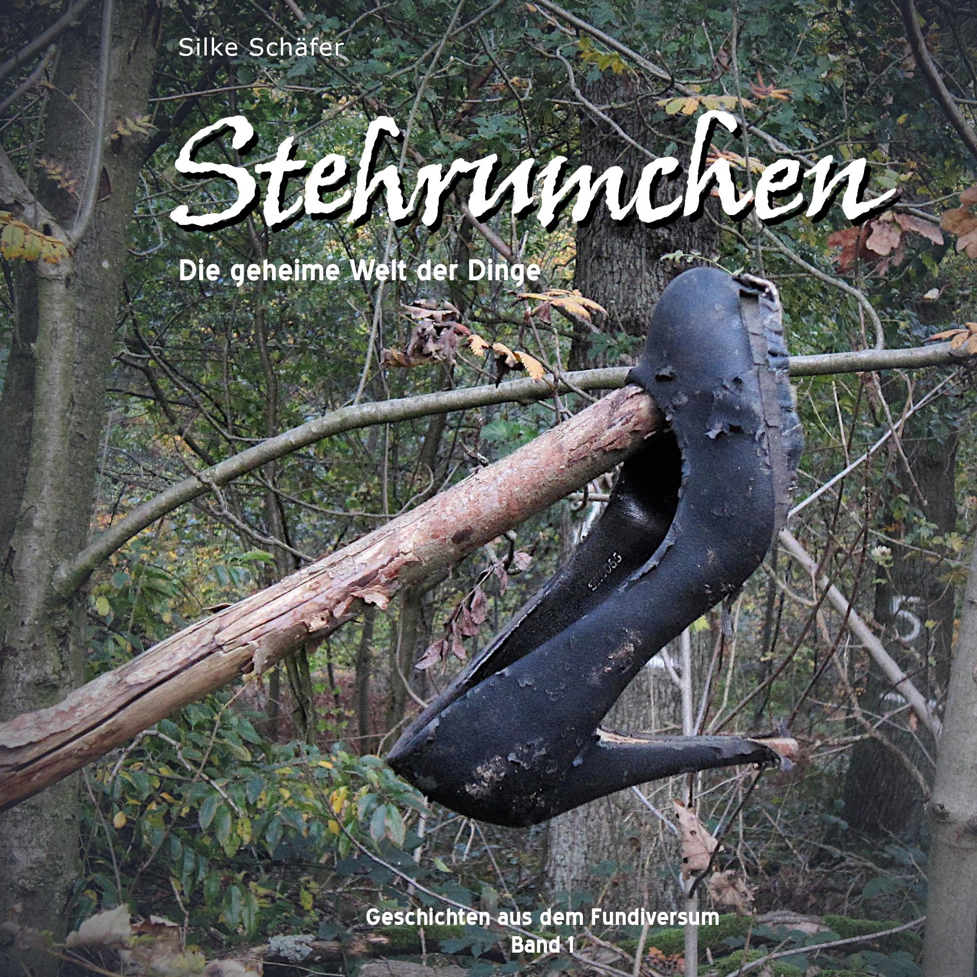 Vorderes Coverbild Stehrumchen