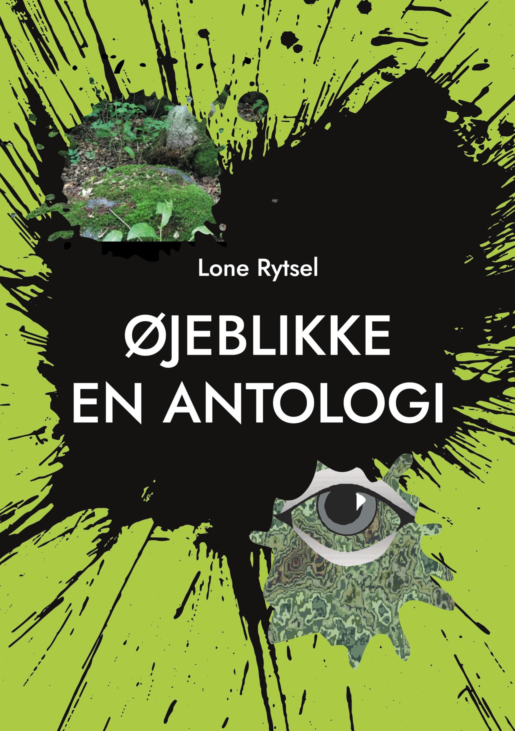 Vorderes Coverbild Øjeblikke
