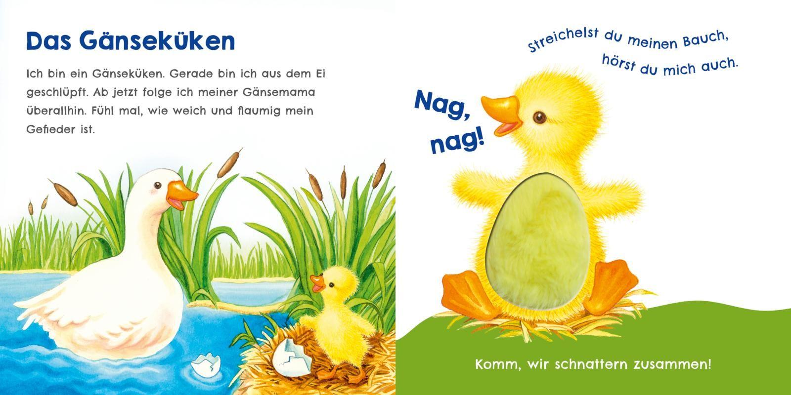 Beispielinhalt (Bild) Hör mal, wie ich schnattern kann (Mein erstes Streichel-Soundbuch 1)