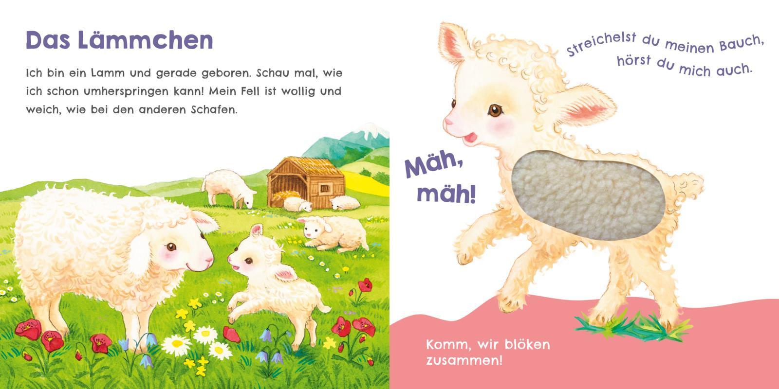 Beispielinhalt (Bild) Hör mal, wie ich schnattern kann (Mein erstes Streichel-Soundbuch 1)