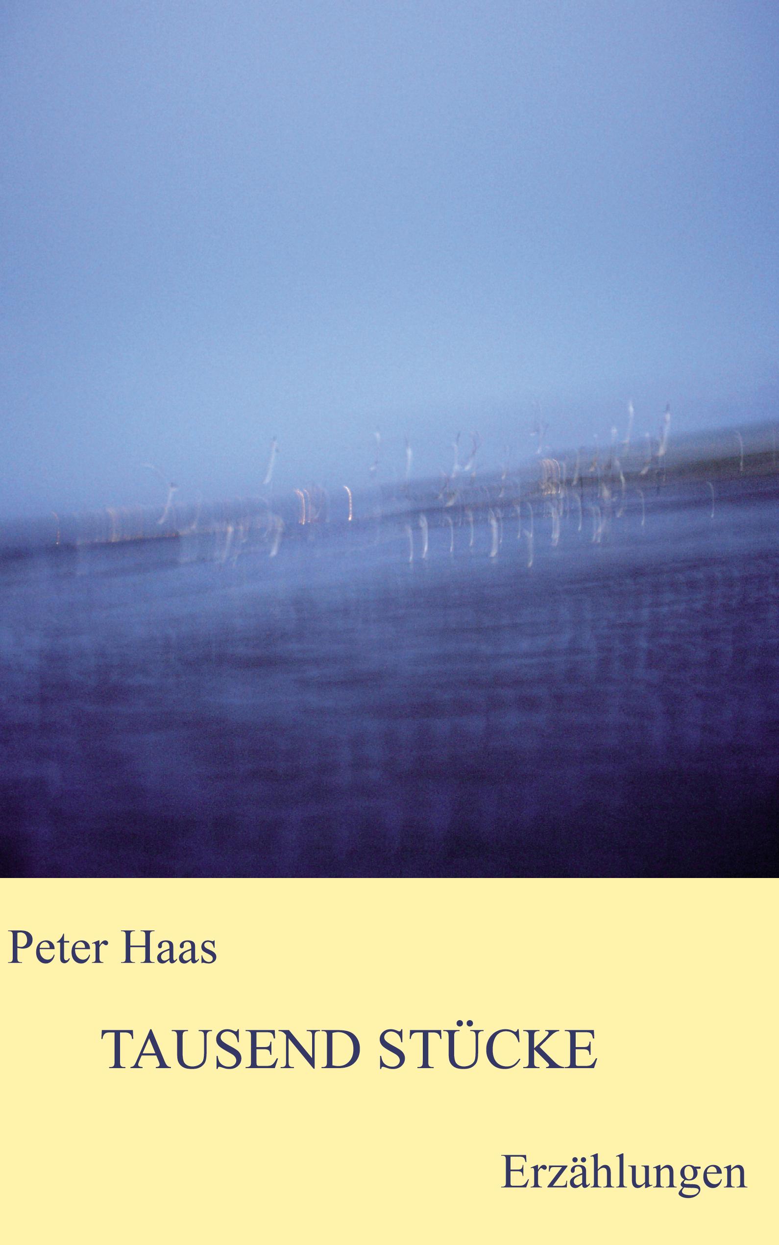 Vorderes Coverbild Tausend Stücke