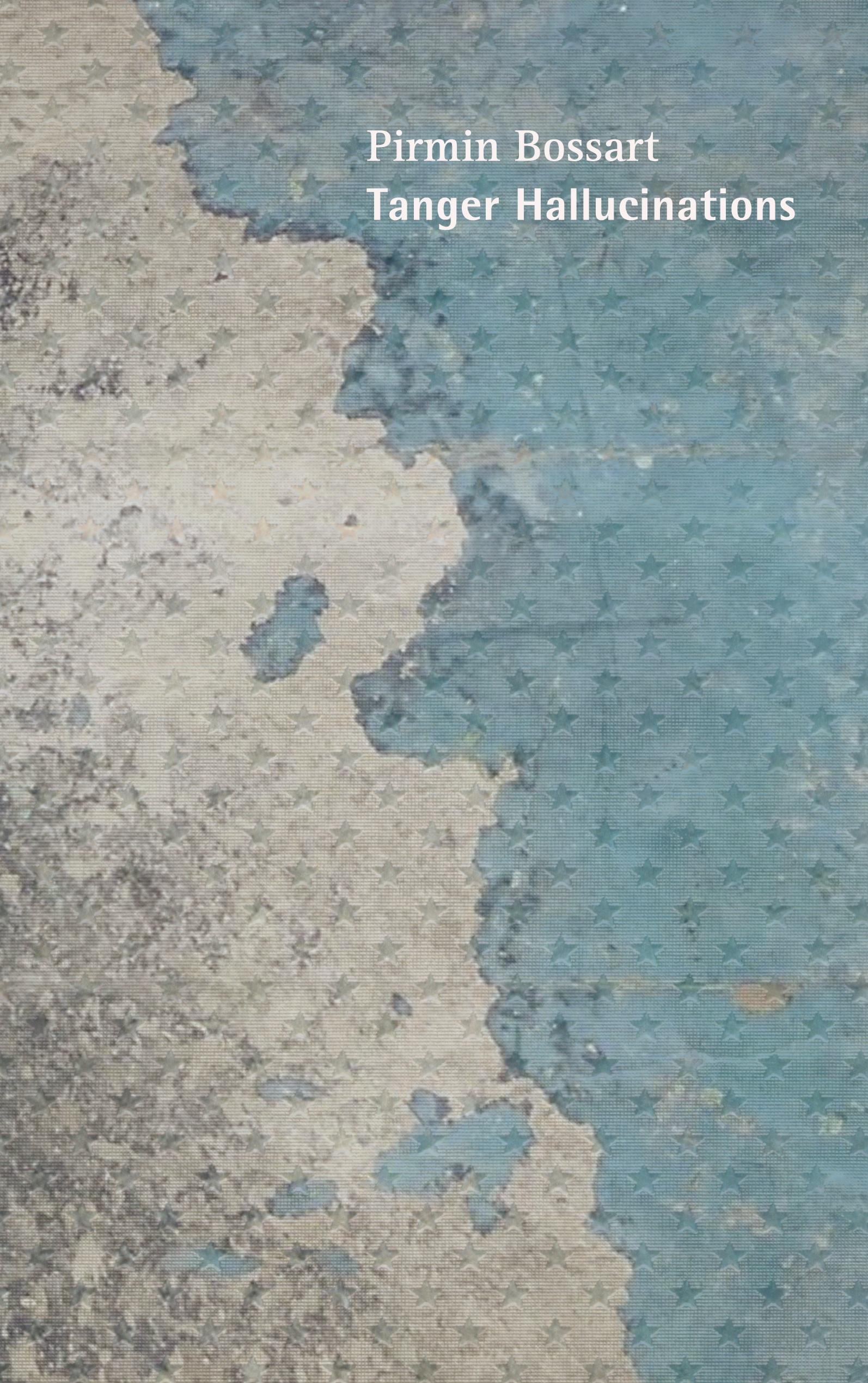 Vorderes Coverbild Tanger Hallucinations