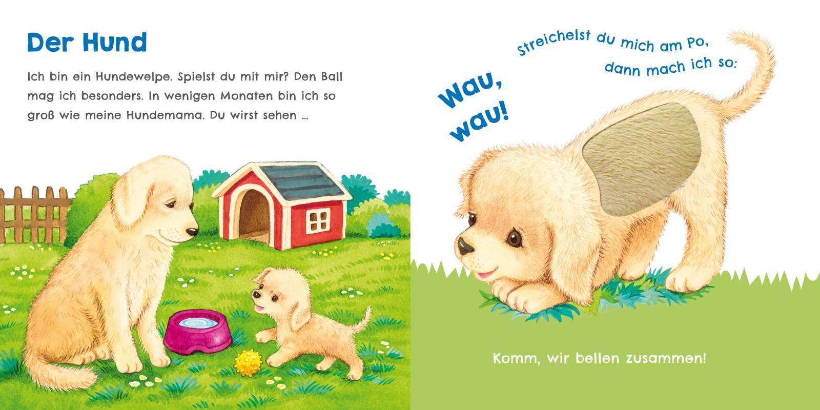 Beispielinhalt (Bild) Hör mal, wie ich miauen kann (Mein erstes Streichel-Soundbuch 2)