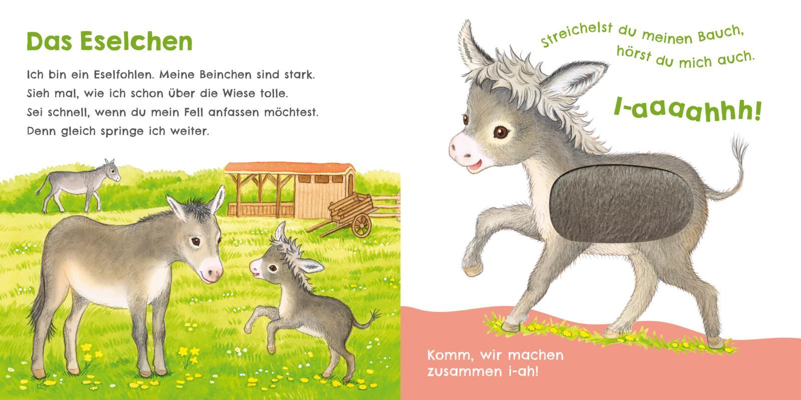 Beispielinhalt (Bild) Hör mal, wie ich miauen kann (Mein erstes Streichel-Soundbuch 2)