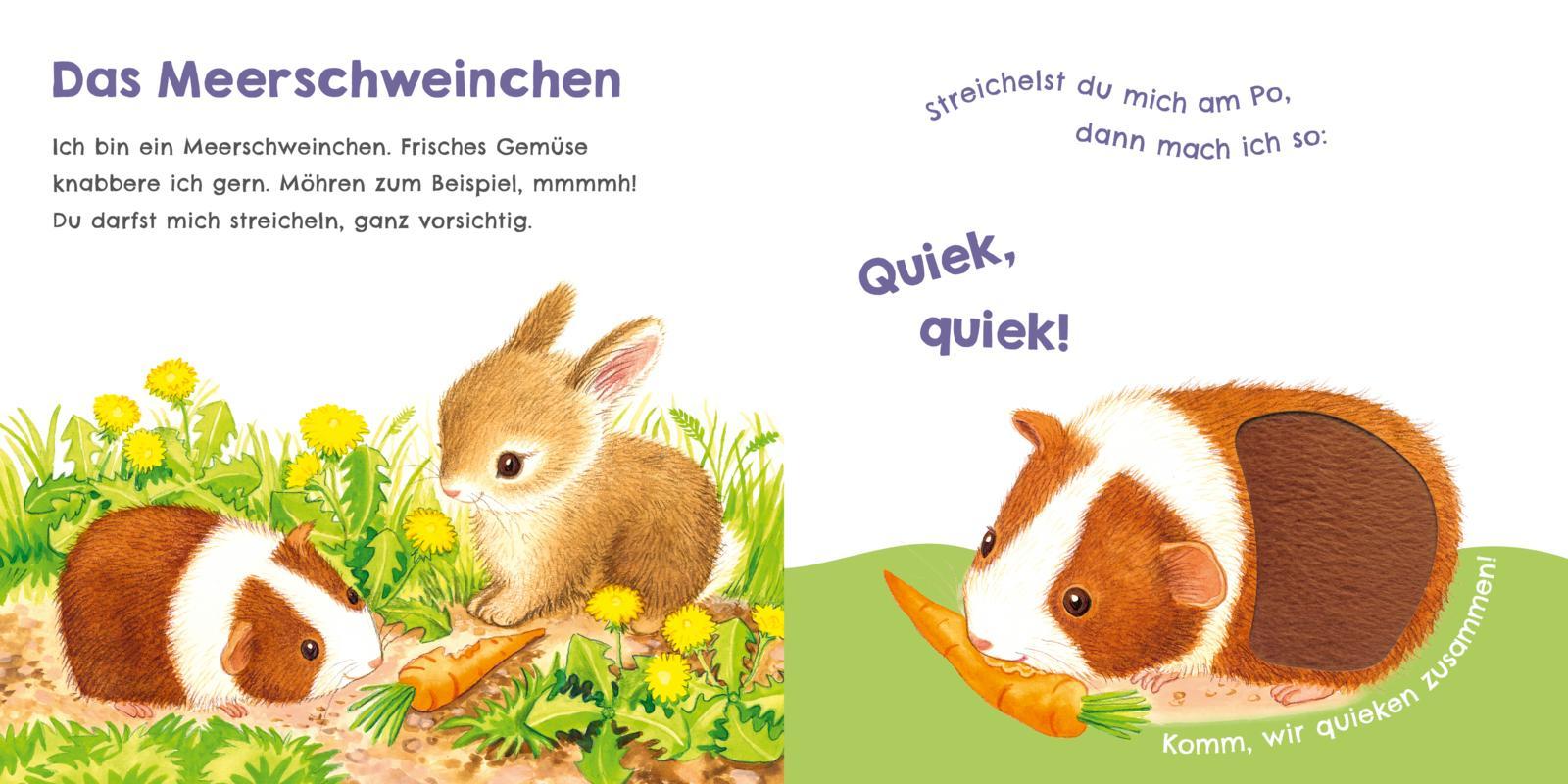 Beispielinhalt (Bild) Hör mal, wie ich miauen kann (Mein erstes Streichel-Soundbuch 2)