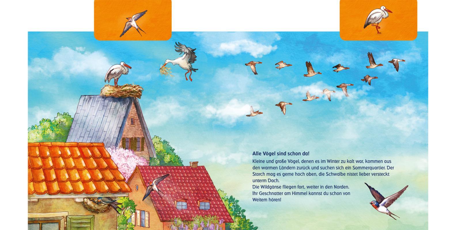 Beispielinhalt (Bild) Was machen die Tiere im Frühling?