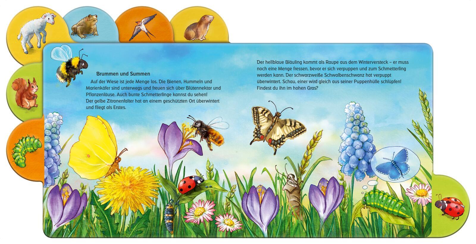 Beispielinhalt (Bild) Was machen die Tiere im Frühling?