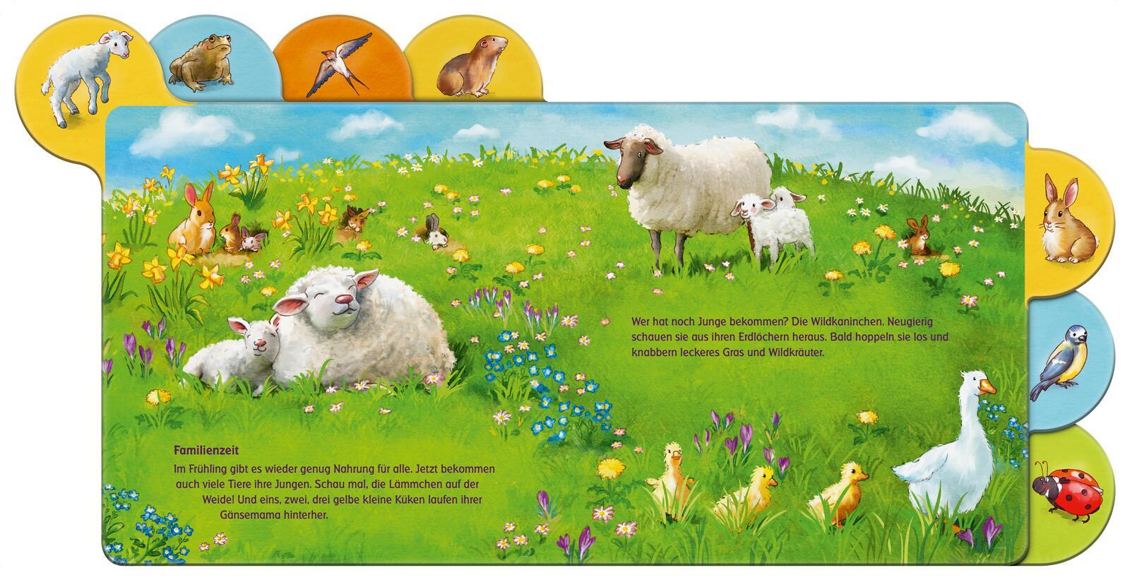 Beispielinhalt (Bild) Was machen die Tiere im Frühling?