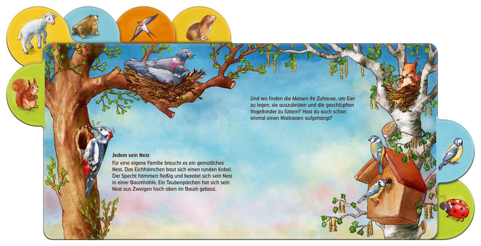 Beispielinhalt (Bild) Was machen die Tiere im Frühling?