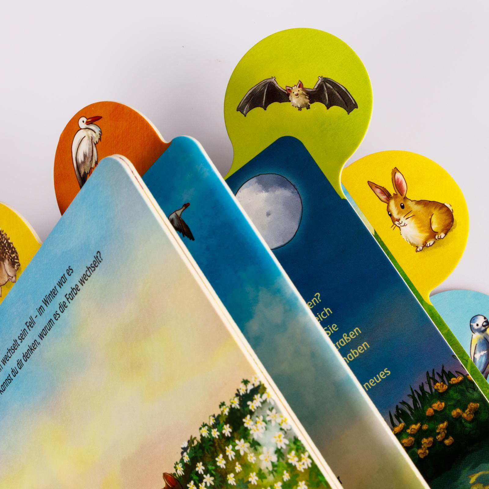 Beispielinhalt (Bild) Was machen die Tiere im Frühling?