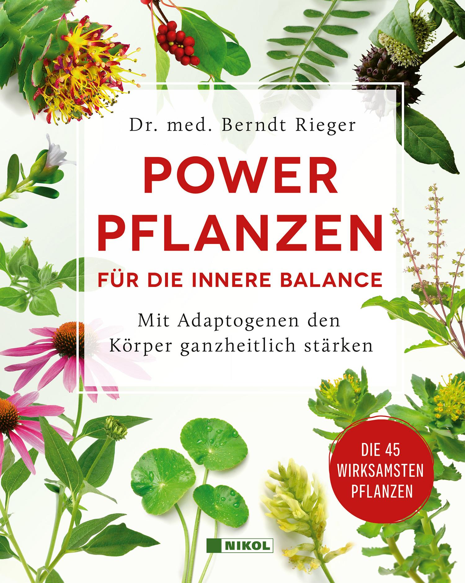 Vorderes Coverbild Powerpflanzen für die innere Balance