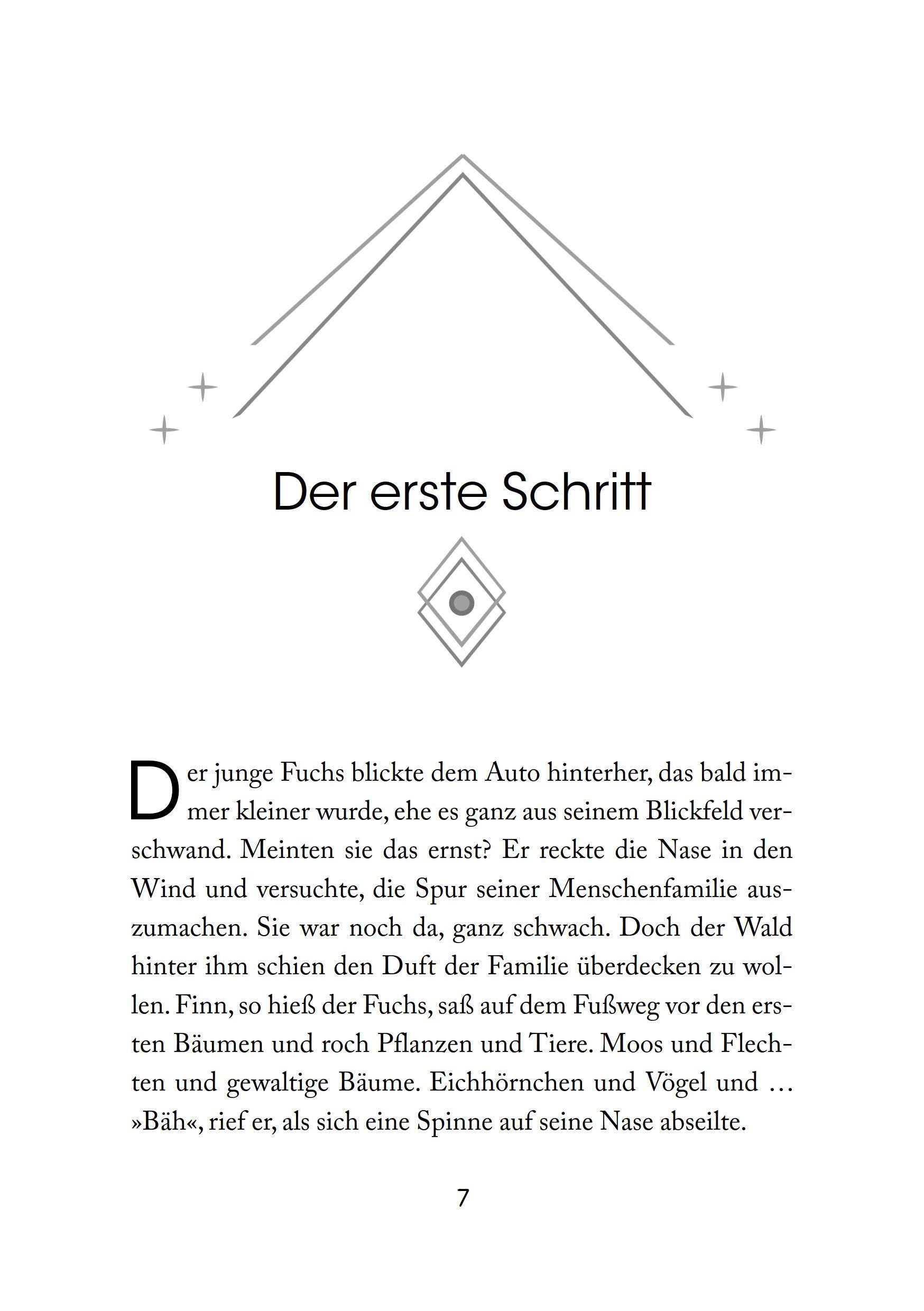 Beispielinhalt (Bild) Foxfighter - Angriff des Schattens (Band 1)