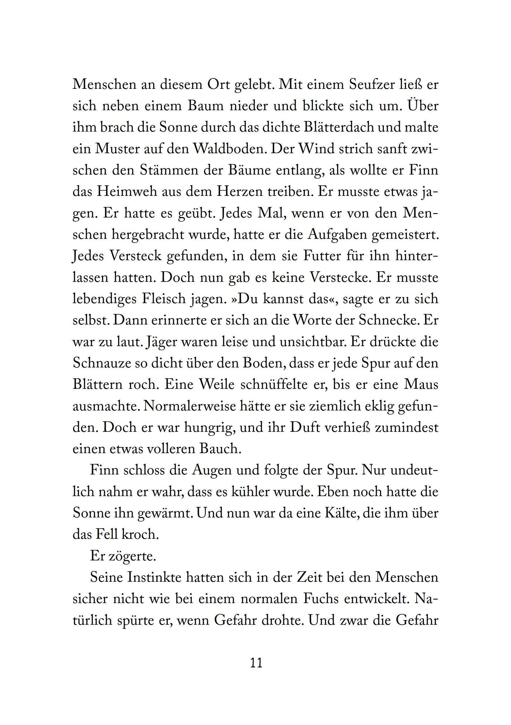 Beispielinhalt (Bild) Foxfighter - Angriff des Schattens (Band 1)