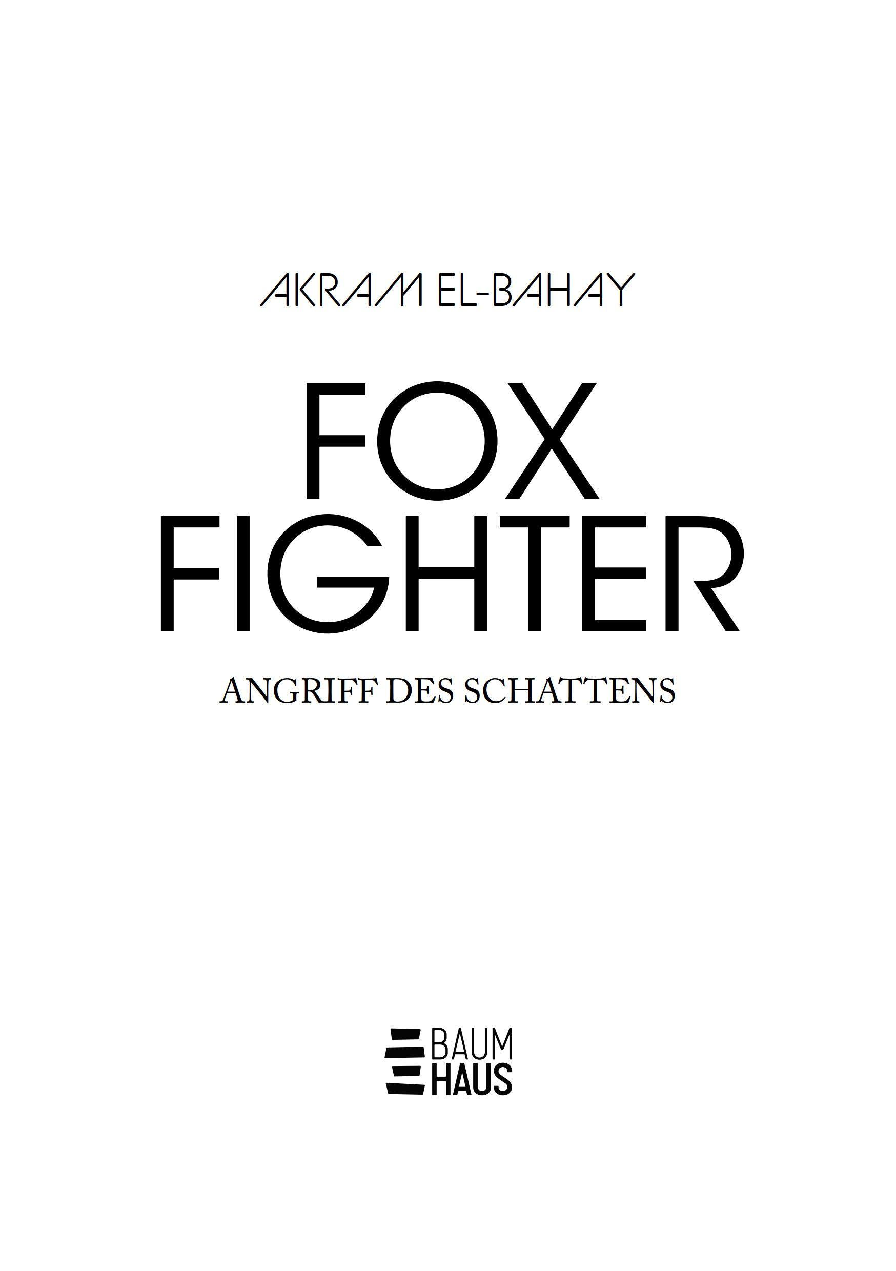 Beispielinhalt (Bild) Foxfighter - Angriff des Schattens (Band 1)