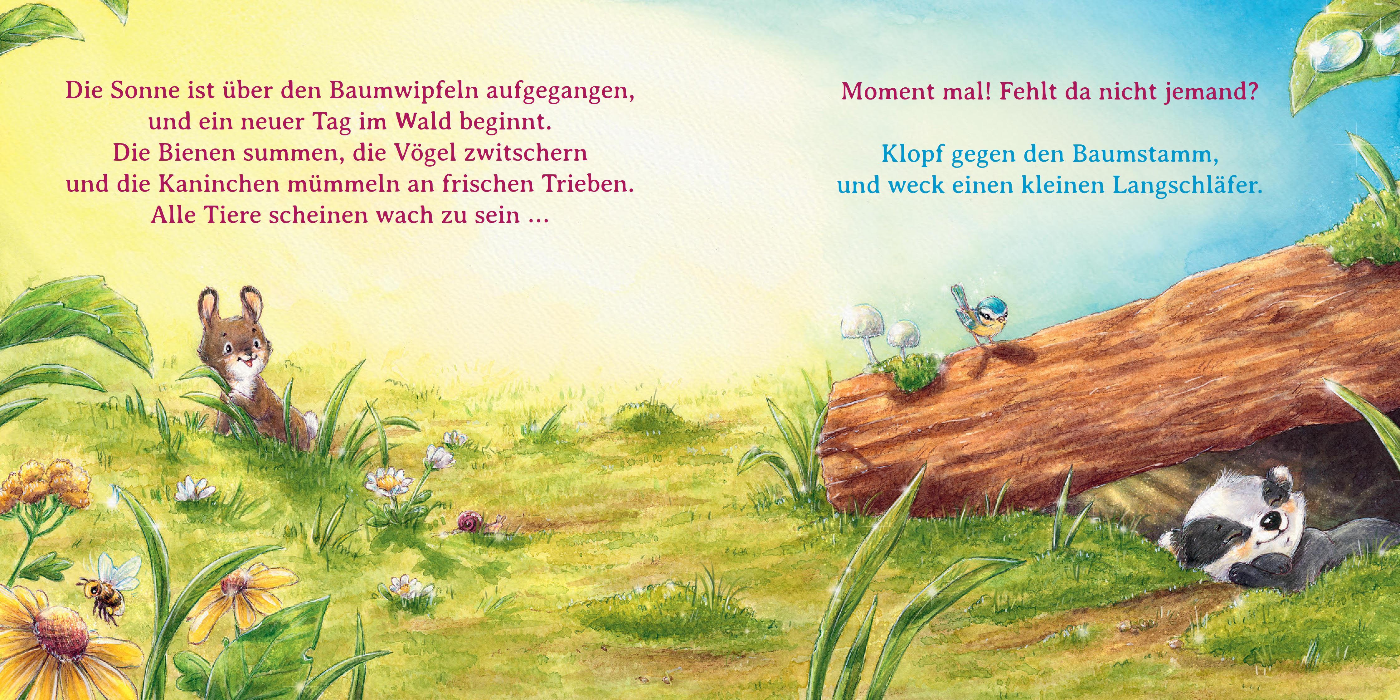 Beispielinhalt (Bild) Wer ist hier ein Frechdachs?