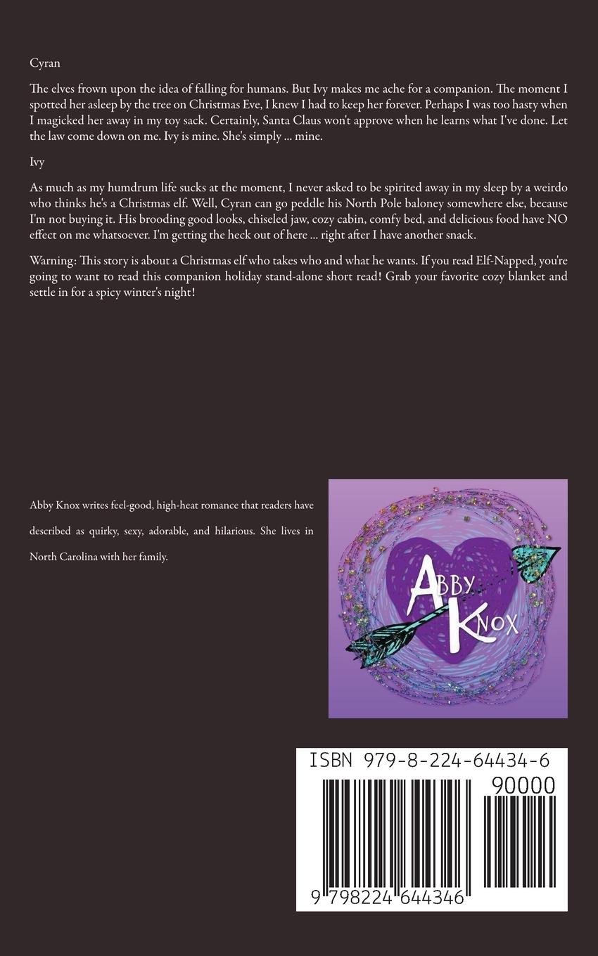 Rückseitencover Bagged By The Elf