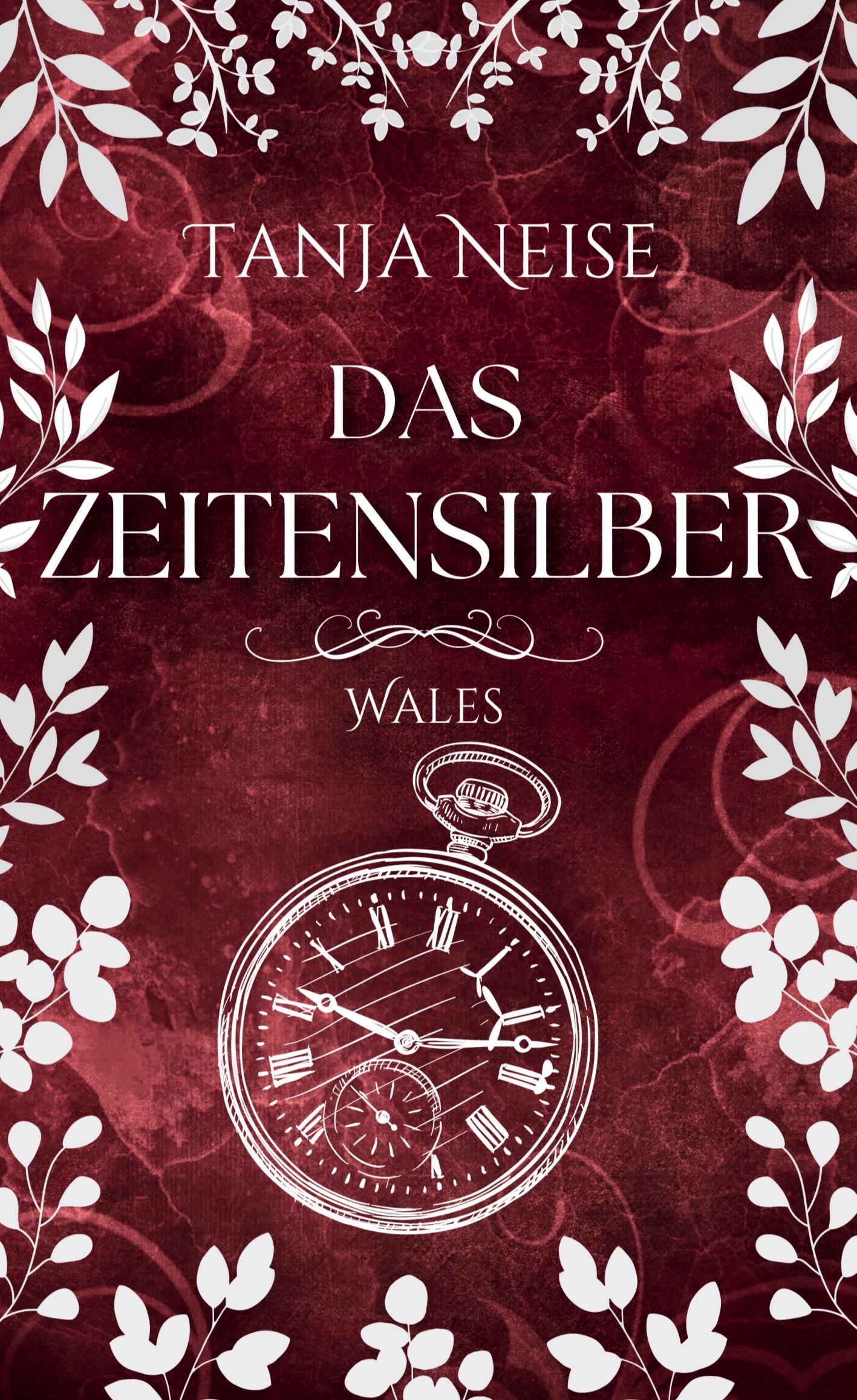 Vorderes Coverbild Das Zeitensilber - Wales