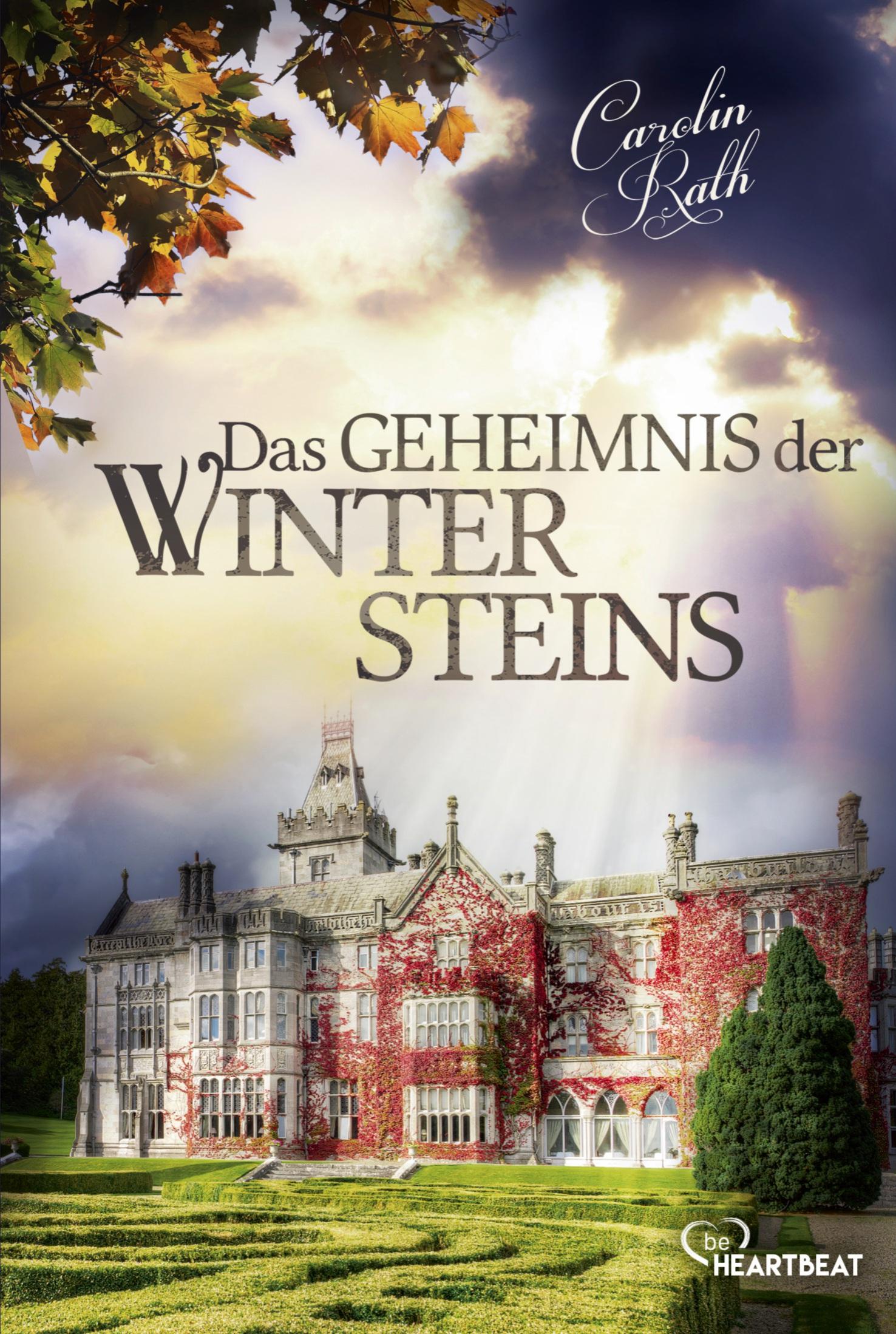 Vorderes Coverbild Das Geheimnis der Wintersteins