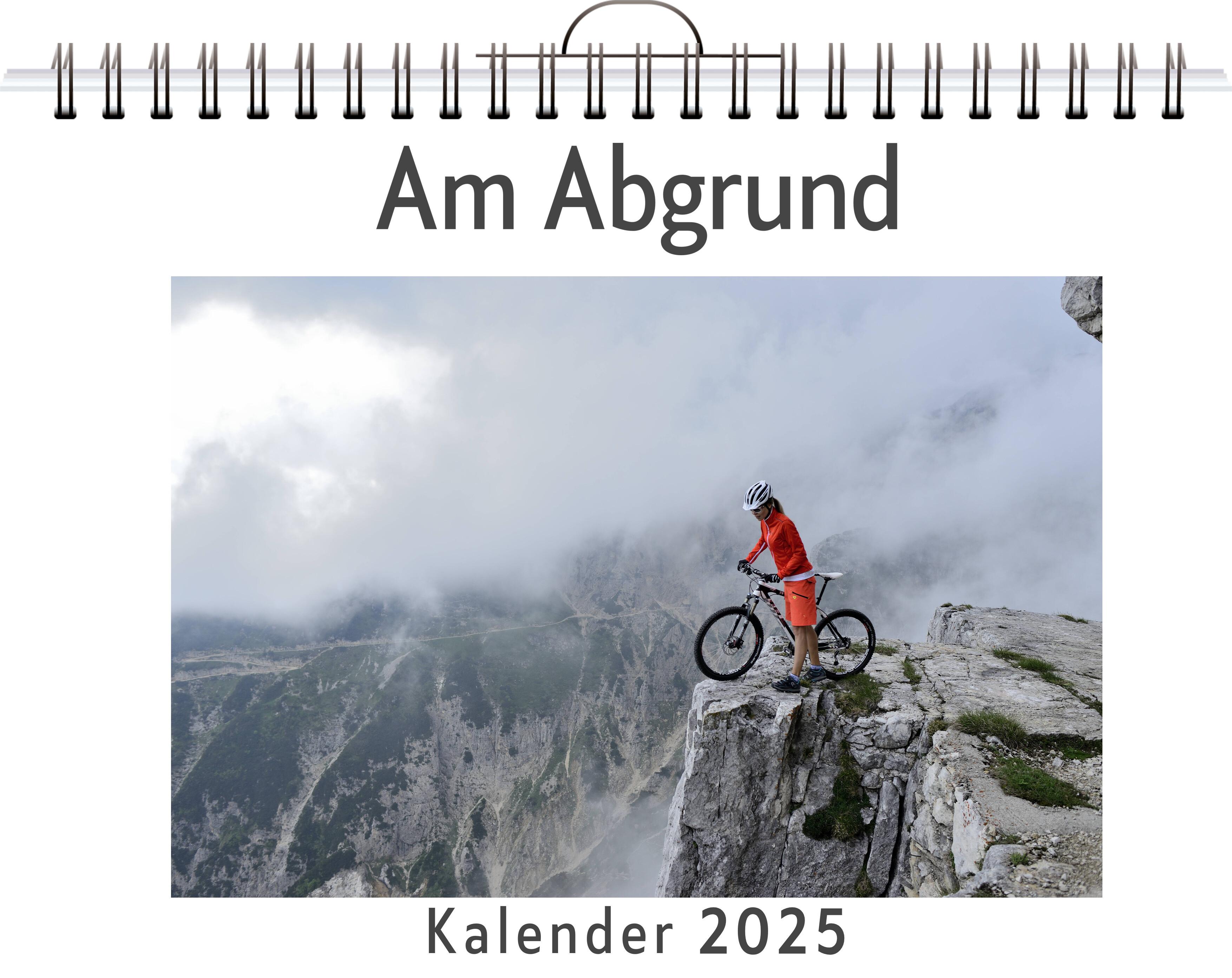 Vorderes Coverbild Am Abgrund