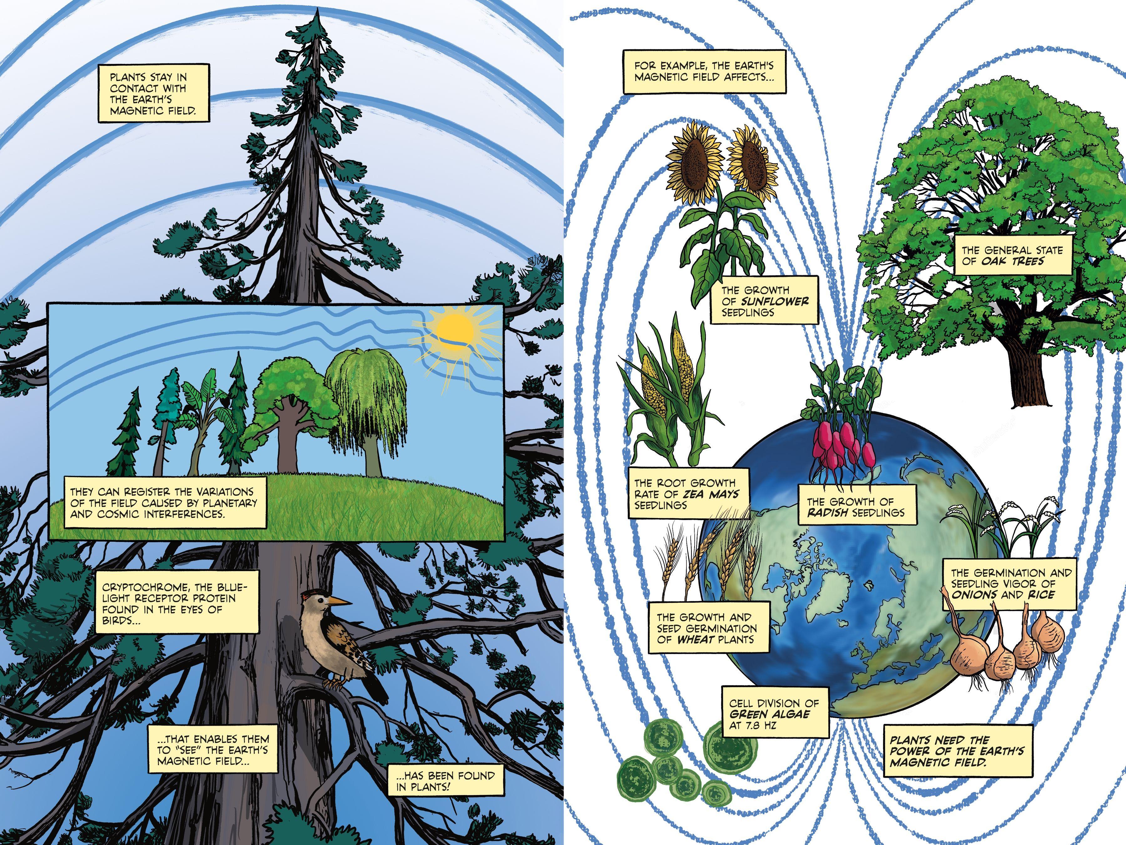 Beispielinhalt (Bild) Electric Life