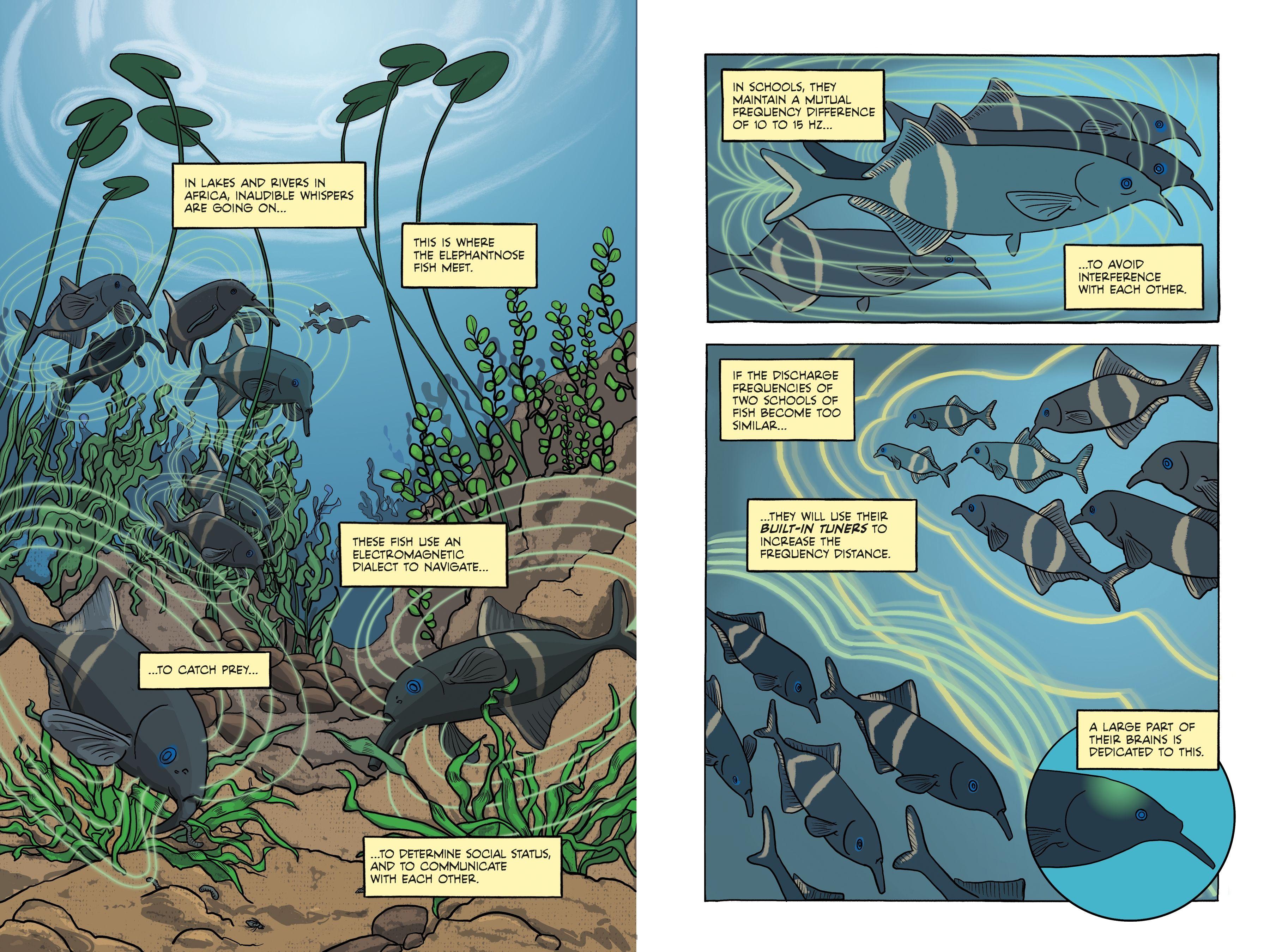 Beispielinhalt (Bild) Electric Life