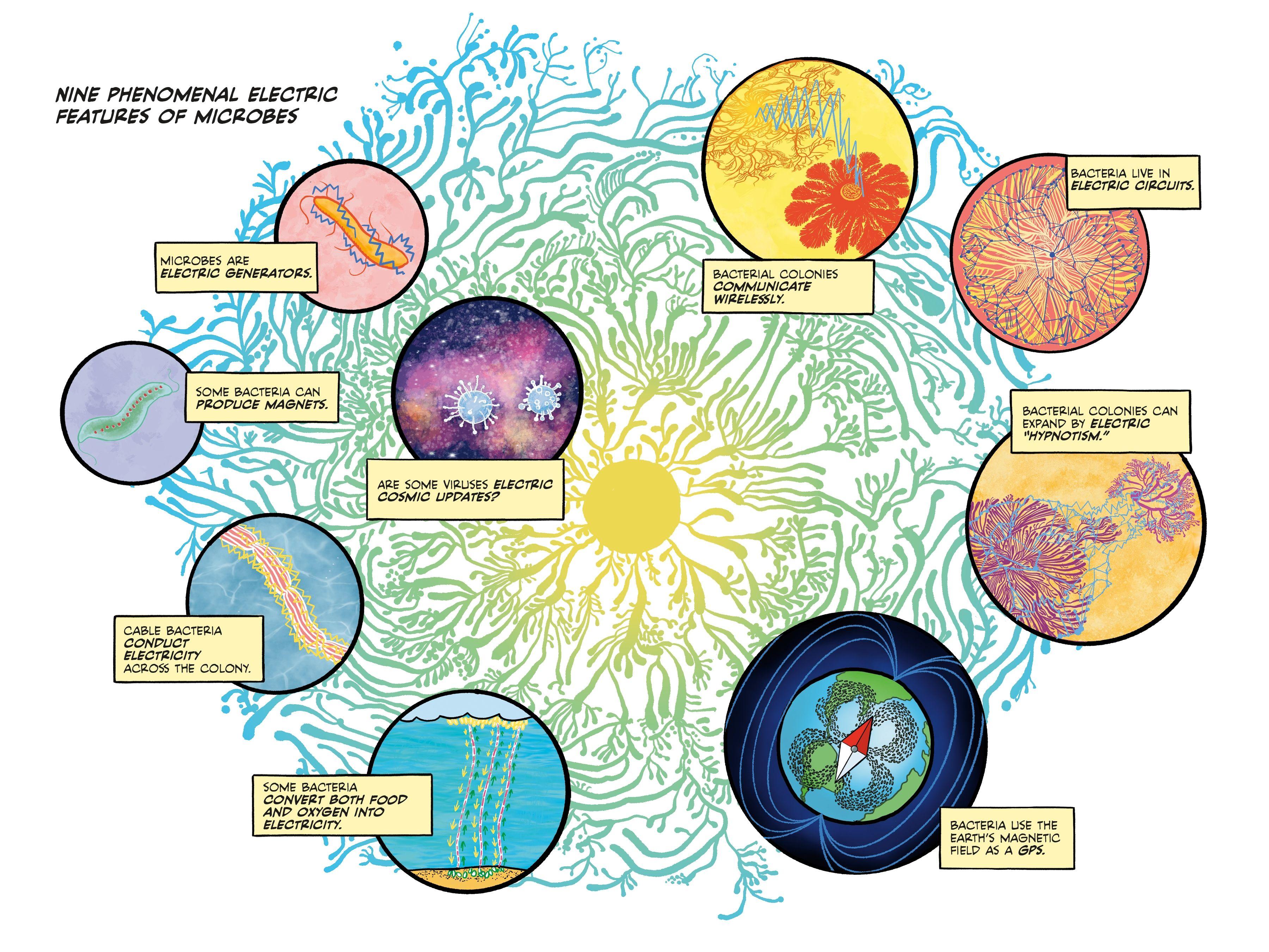 Beispielinhalt (Bild) Electric Life