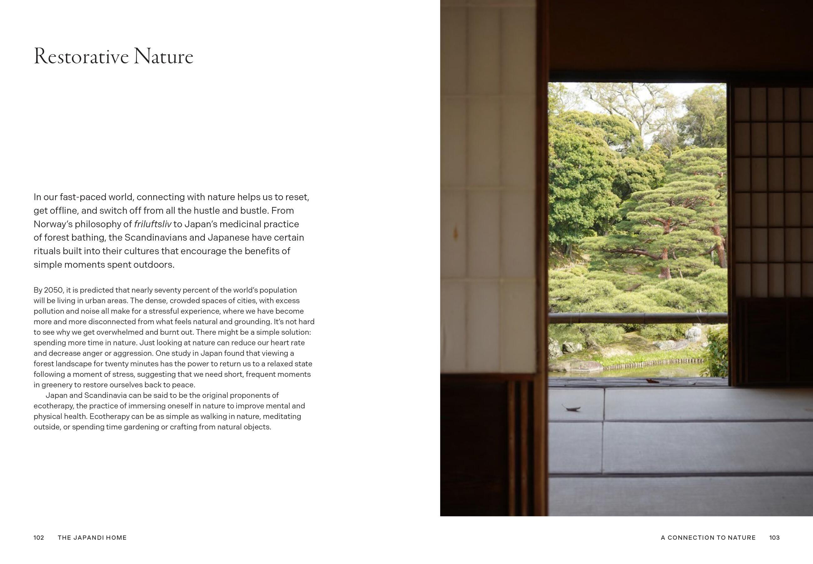 Beispielinhalt (Bild) The Japandi Home