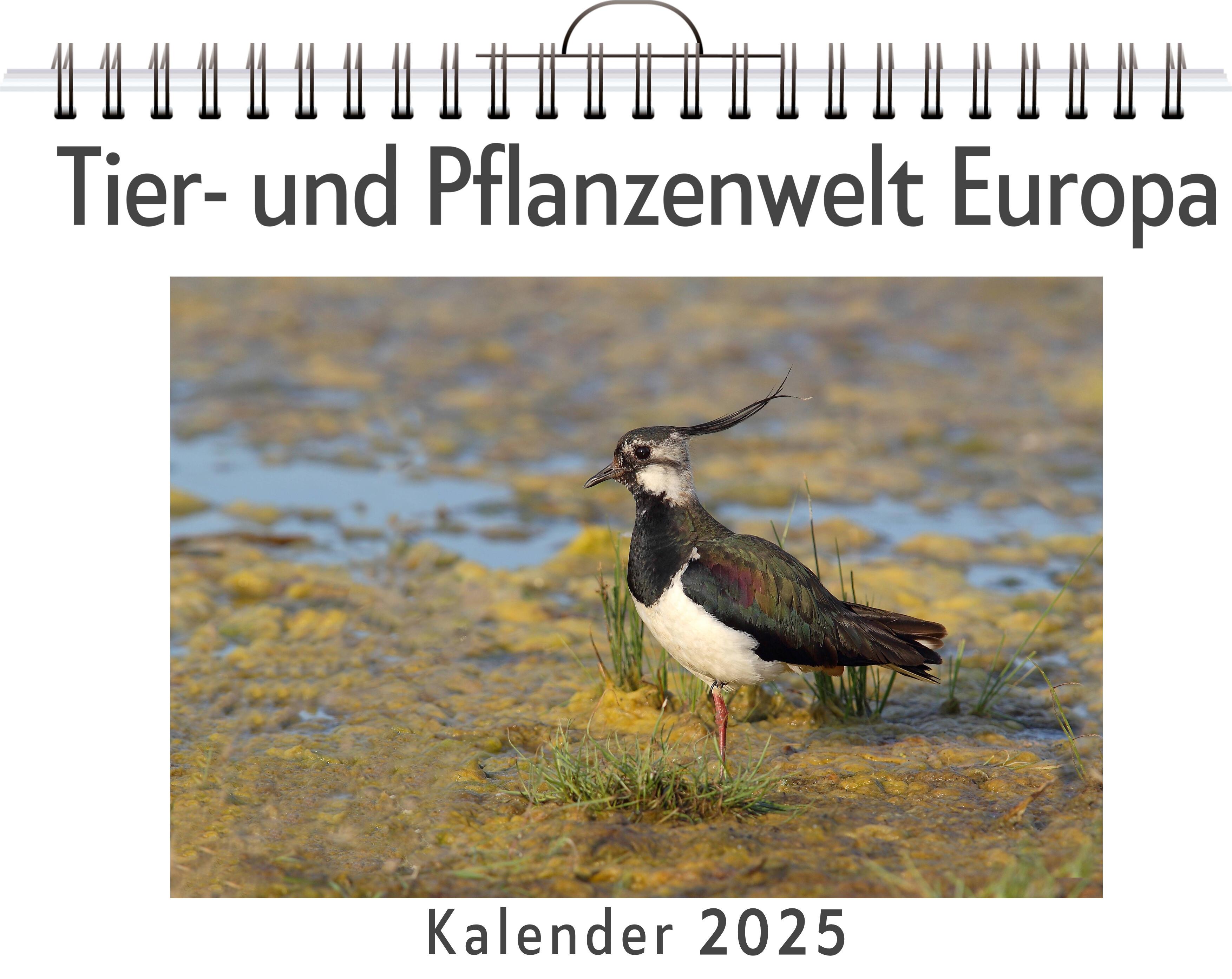 Vorderes Coverbild Tier- und Pflanzenwelt Europa