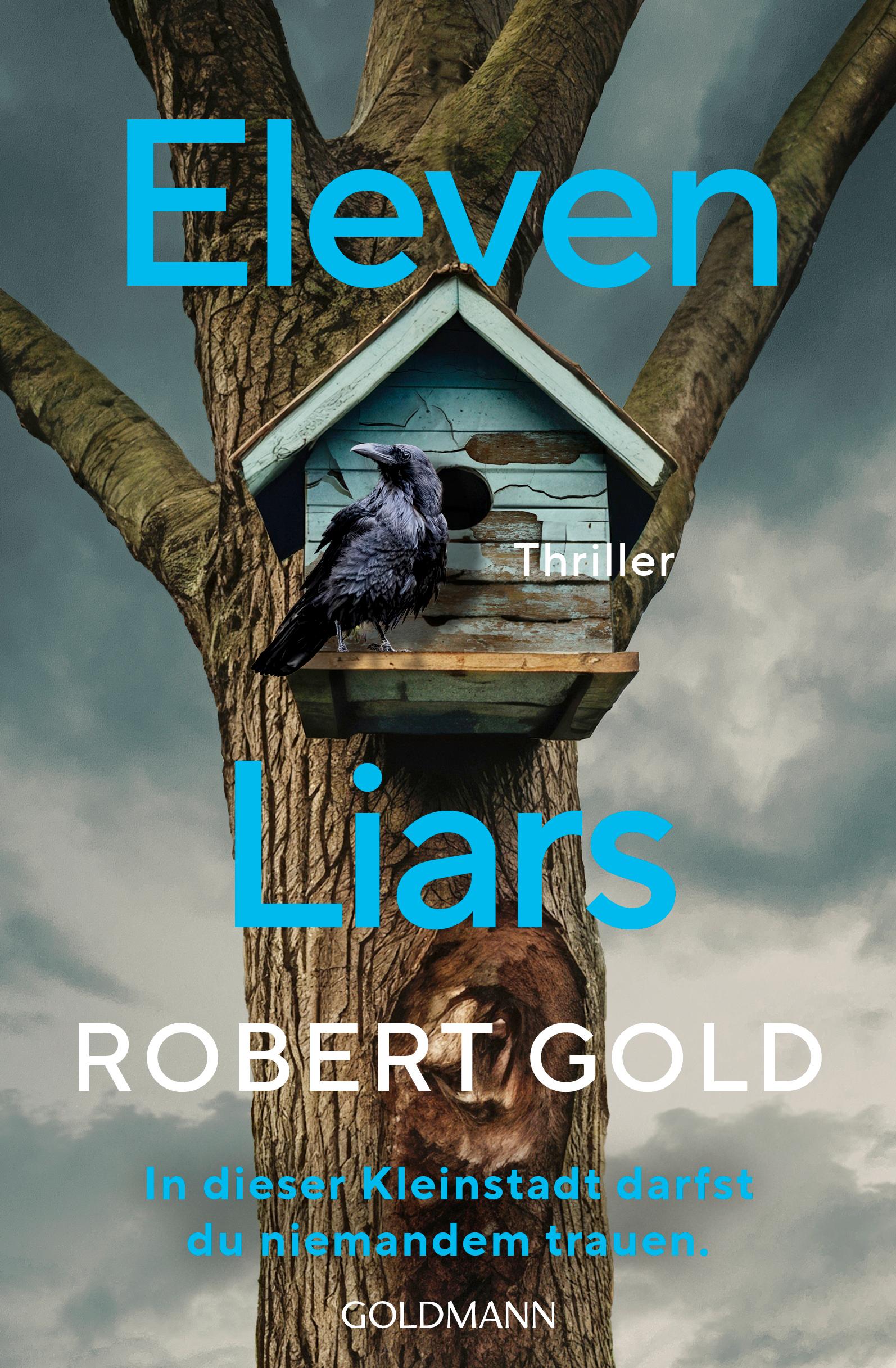Vorderes Coverbild Eleven Liars
