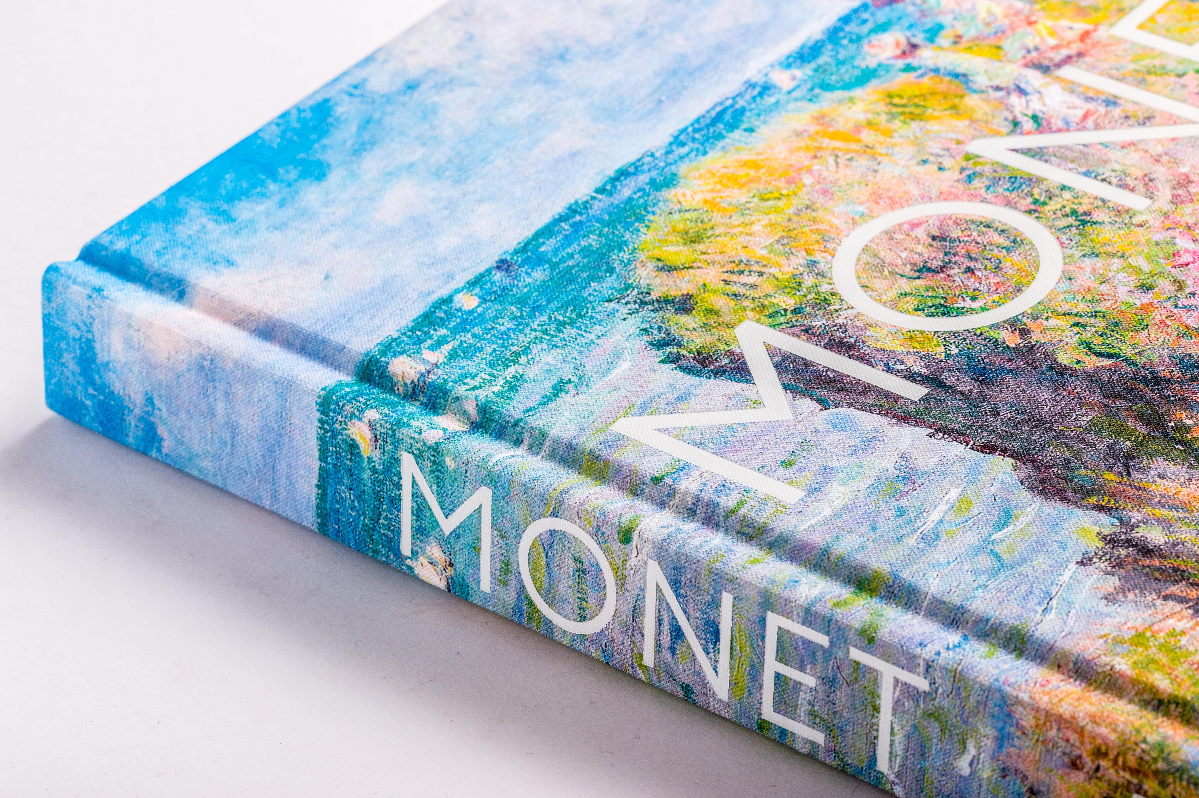 Beispielinhalt (Bild) MONET