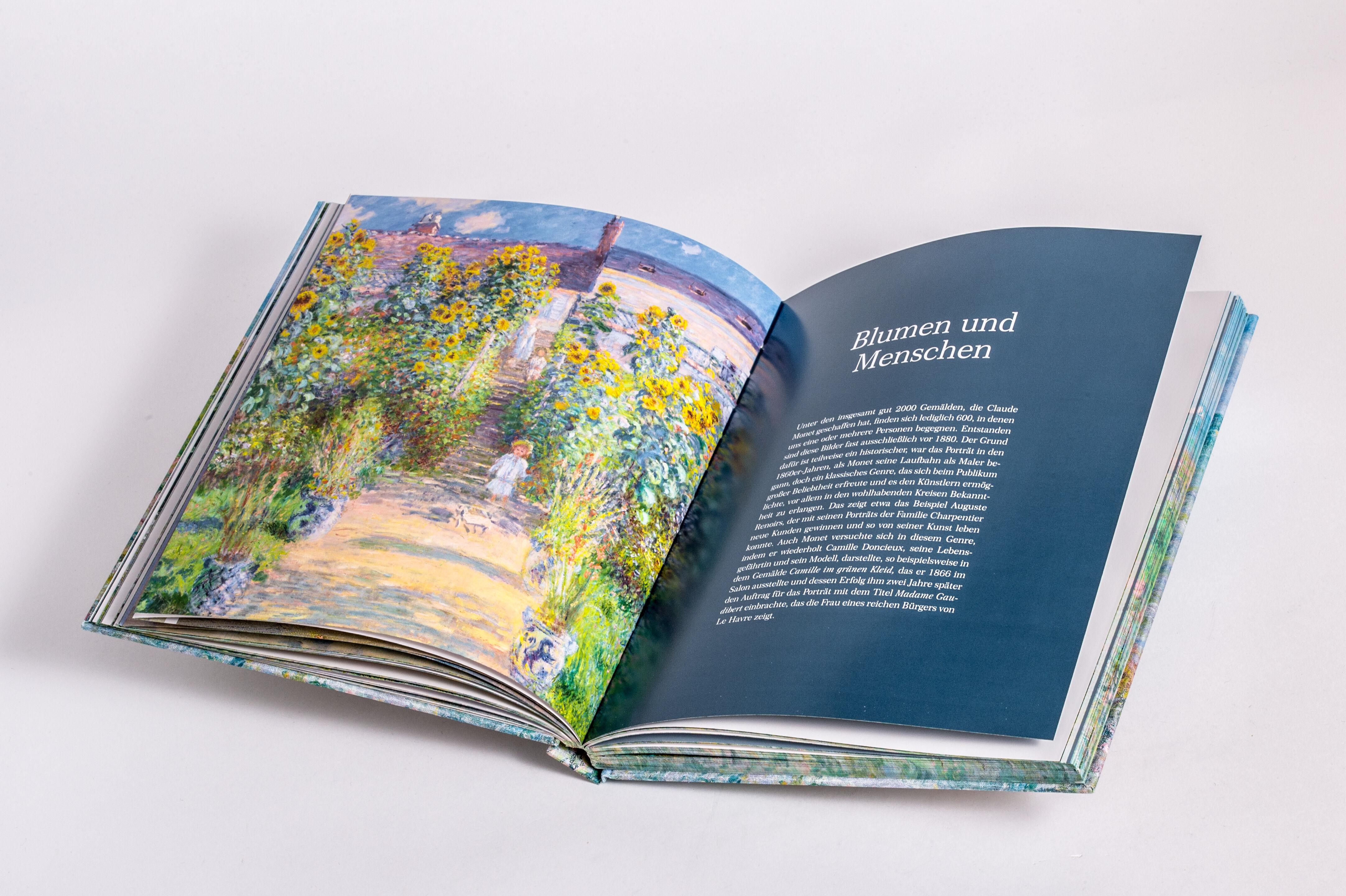 Beispielinhalt (Bild) MONET