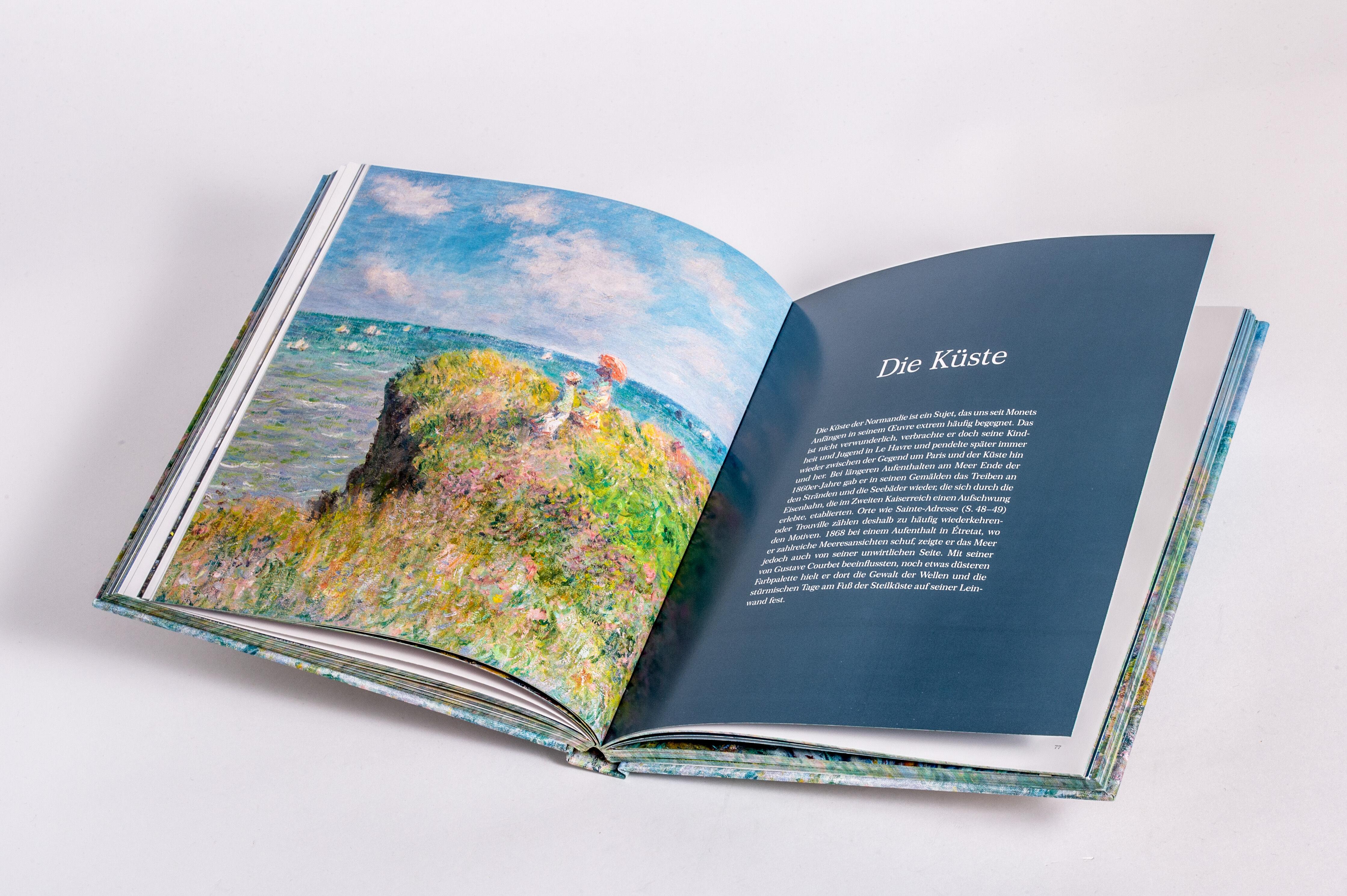 Beispielinhalt (Bild) MONET