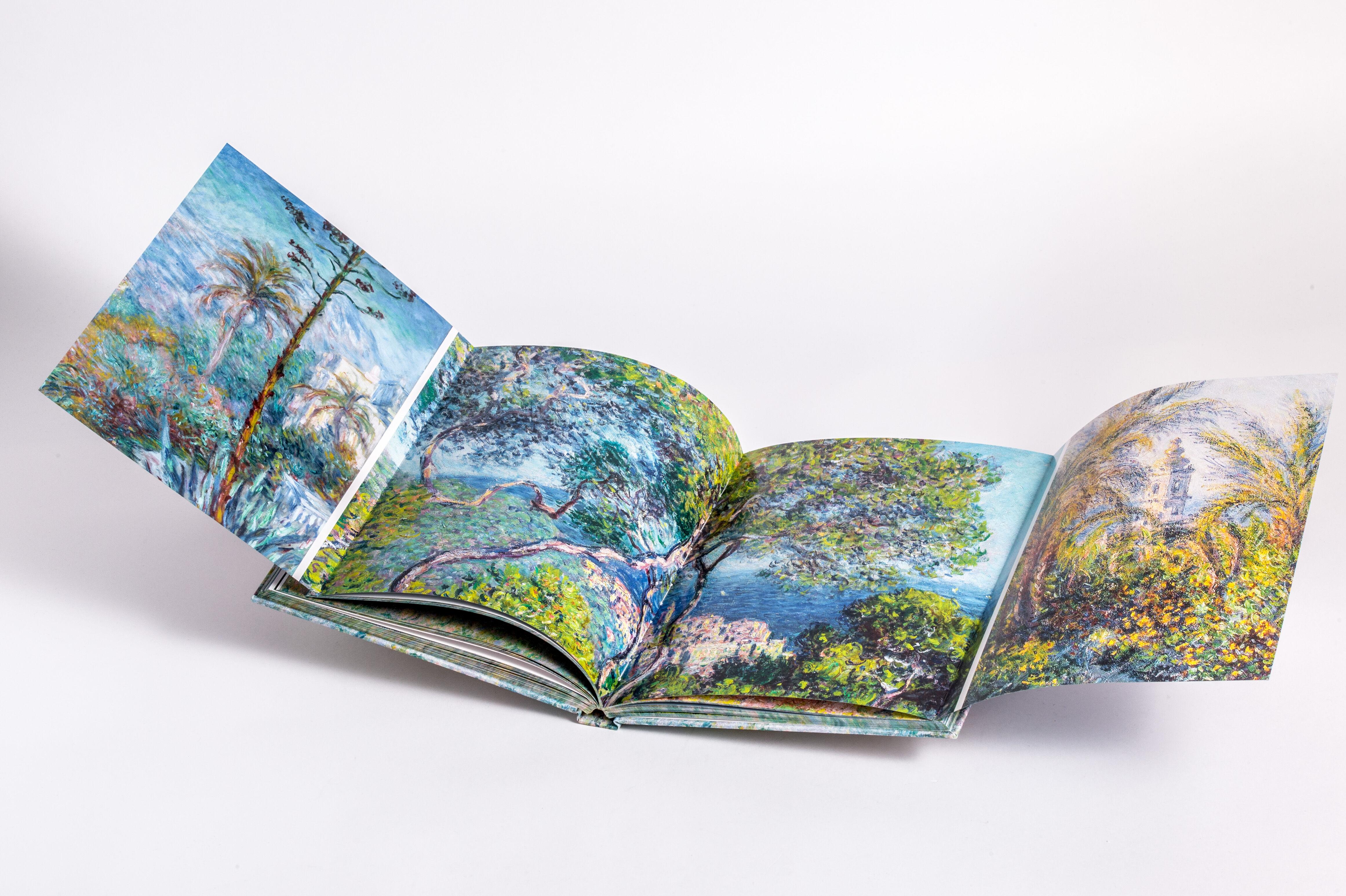 Beispielinhalt (Bild) MONET