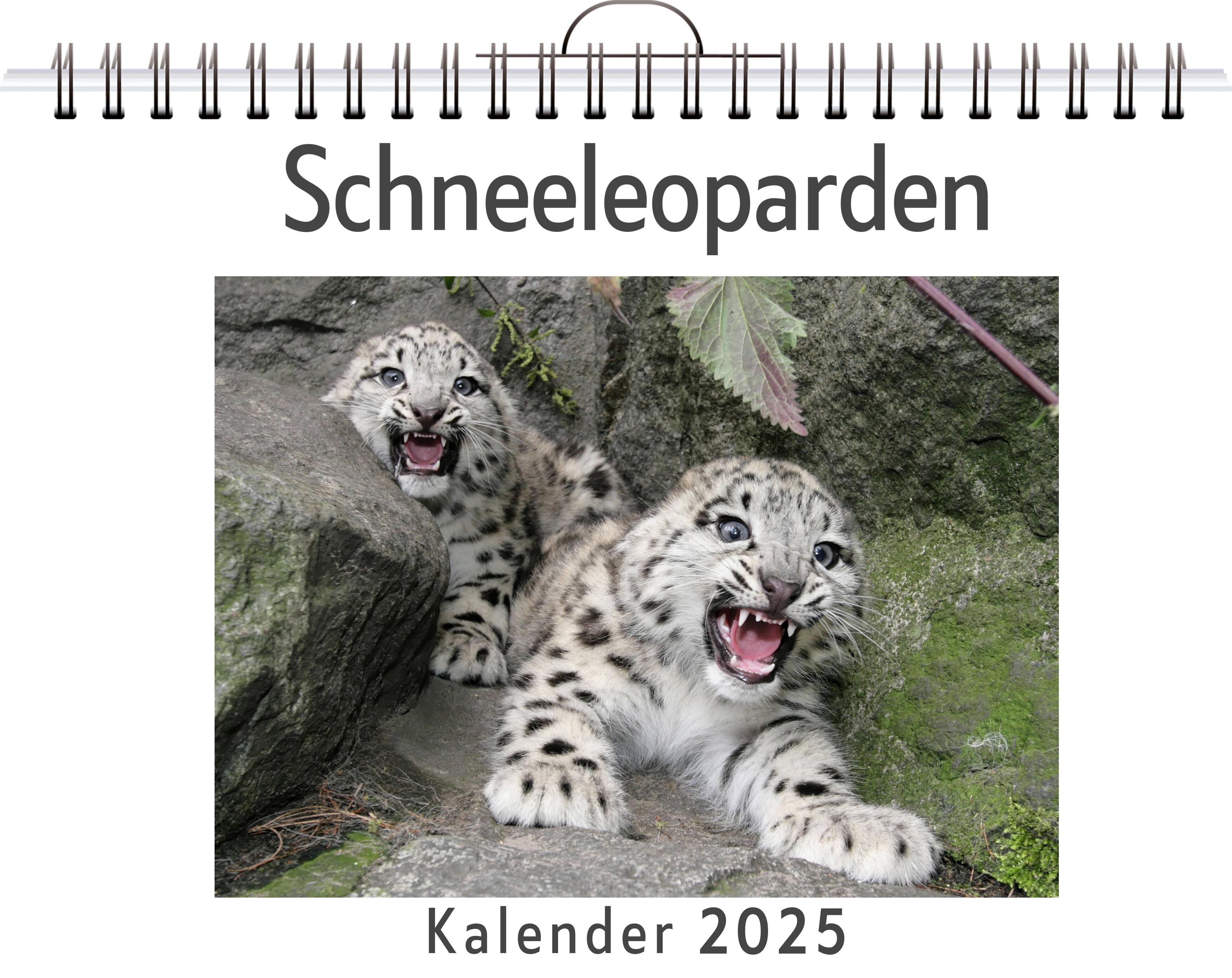 Vorderes Coverbild Schneeleoparden