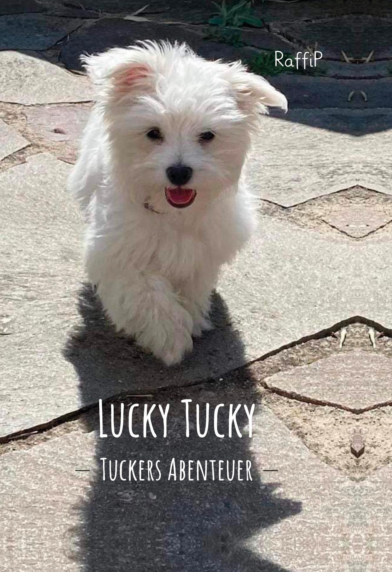 Vorderes Coverbild Lucky Tucky