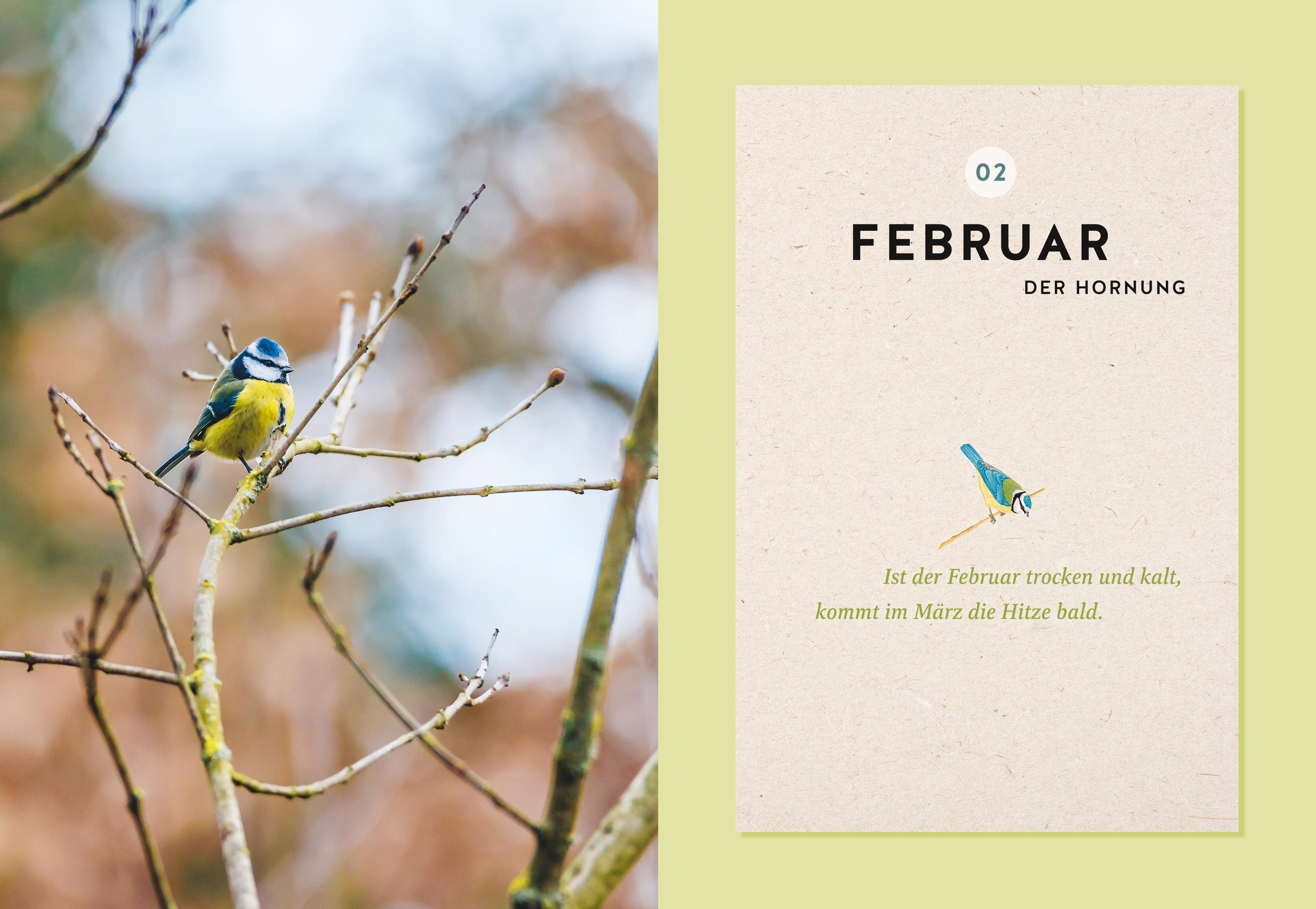 Beispielinhalt (Bild) Mein Gartenkalender 2026