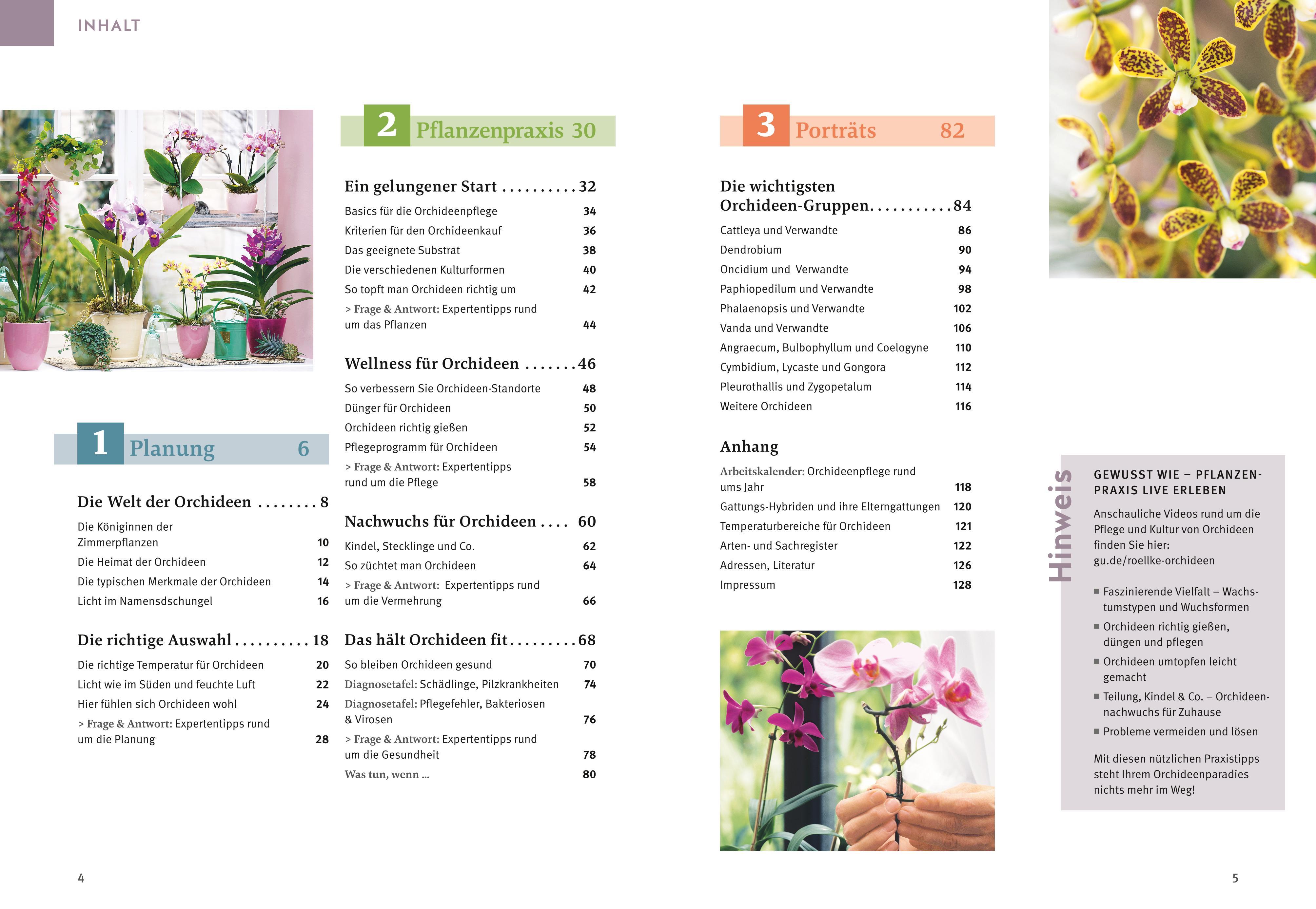 Beispielinhalt (Bild) Orchideen pflegen