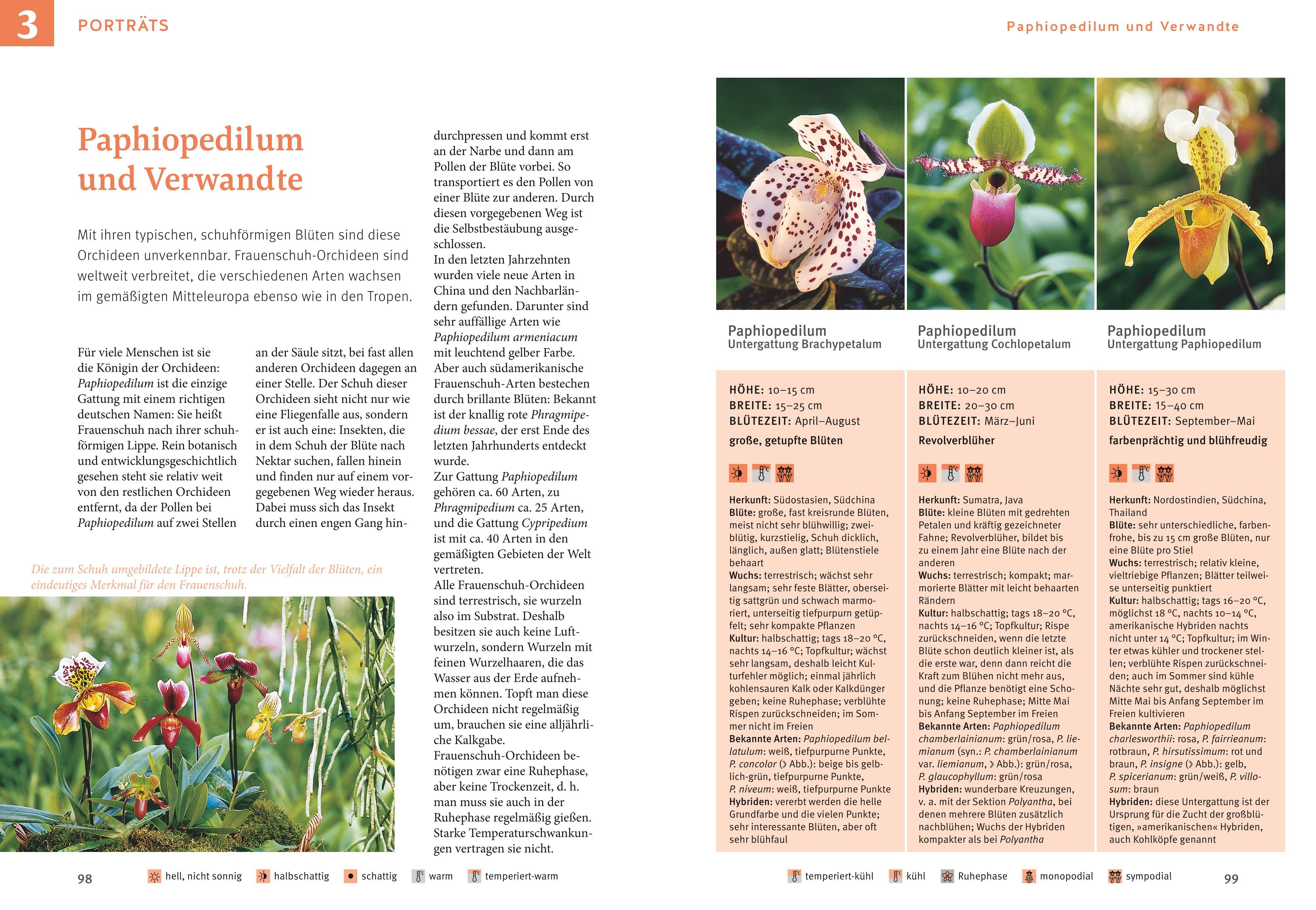 Beispielinhalt (Bild) Orchideen pflegen