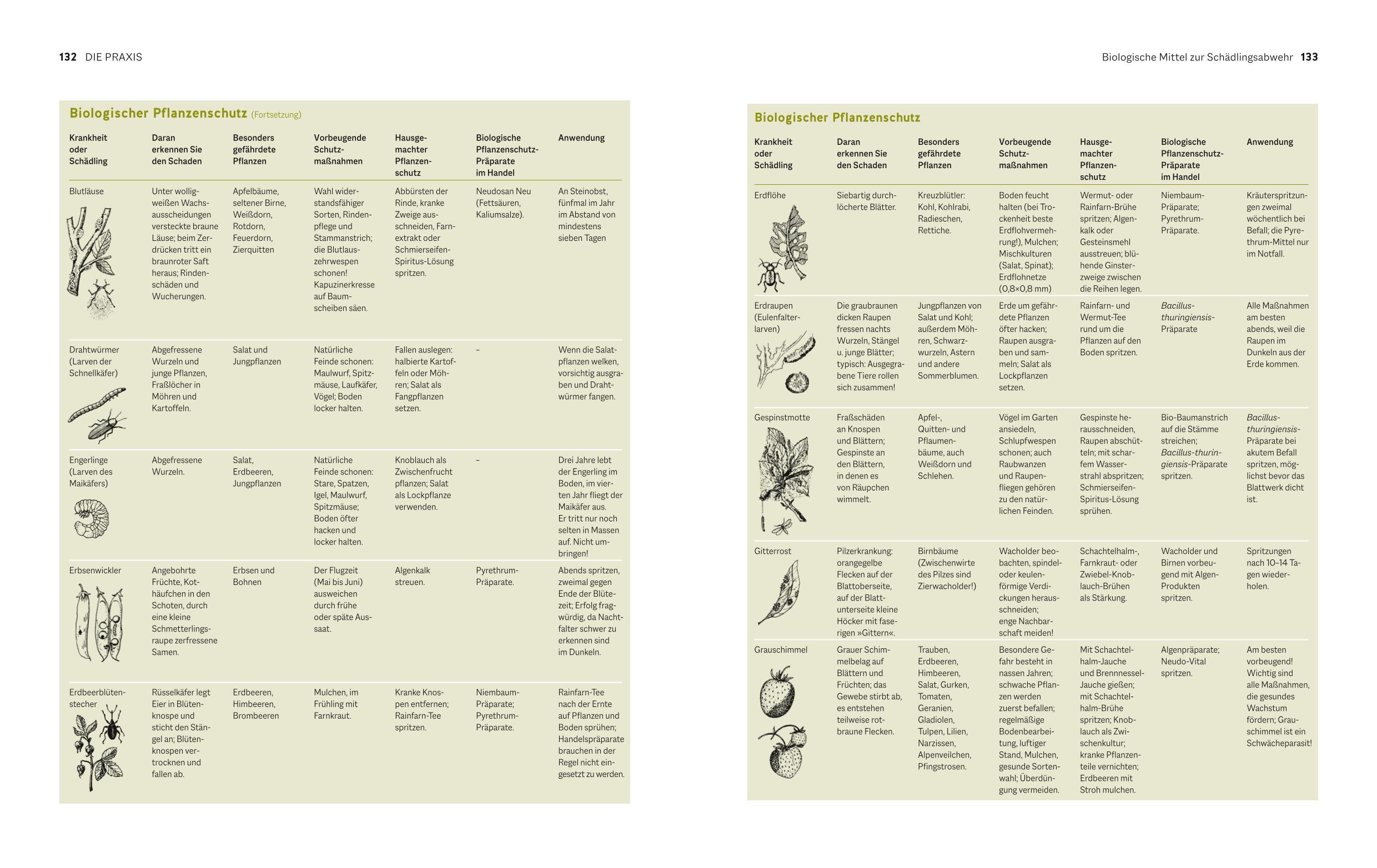 Beispielinhalt (Bild) Der Biogarten