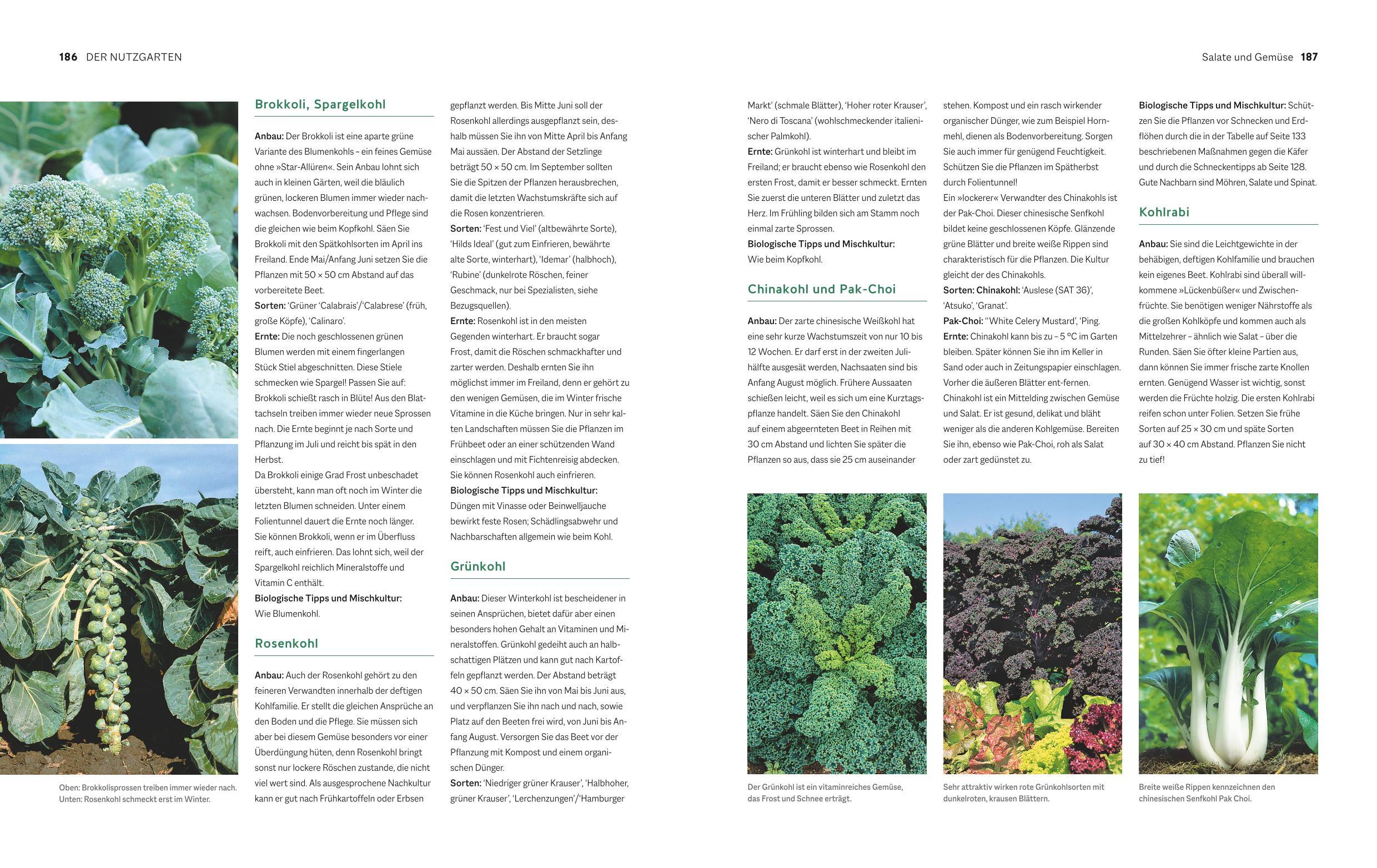 Beispielinhalt (Bild) Der Biogarten