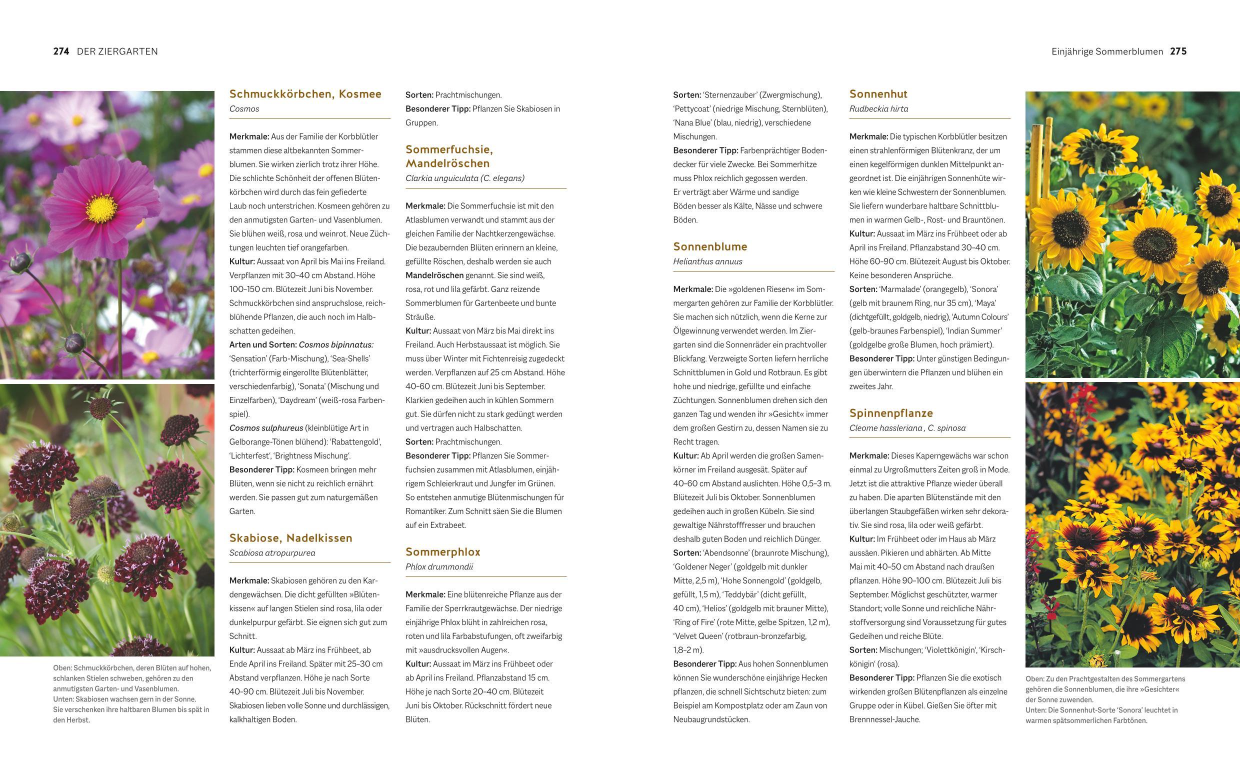 Beispielinhalt (Bild) Der Biogarten