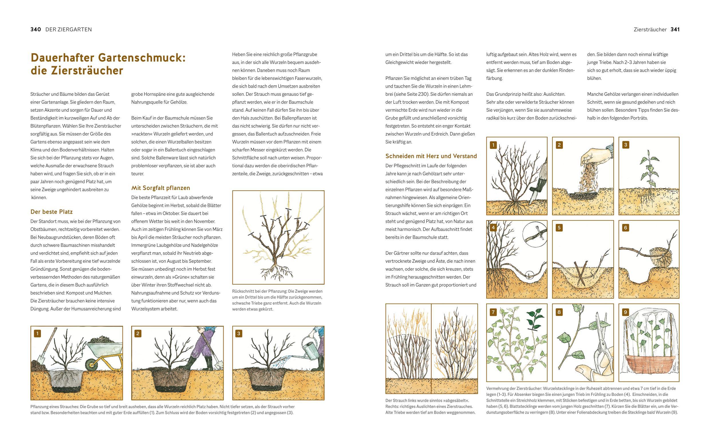 Beispielinhalt (Bild) Der Biogarten