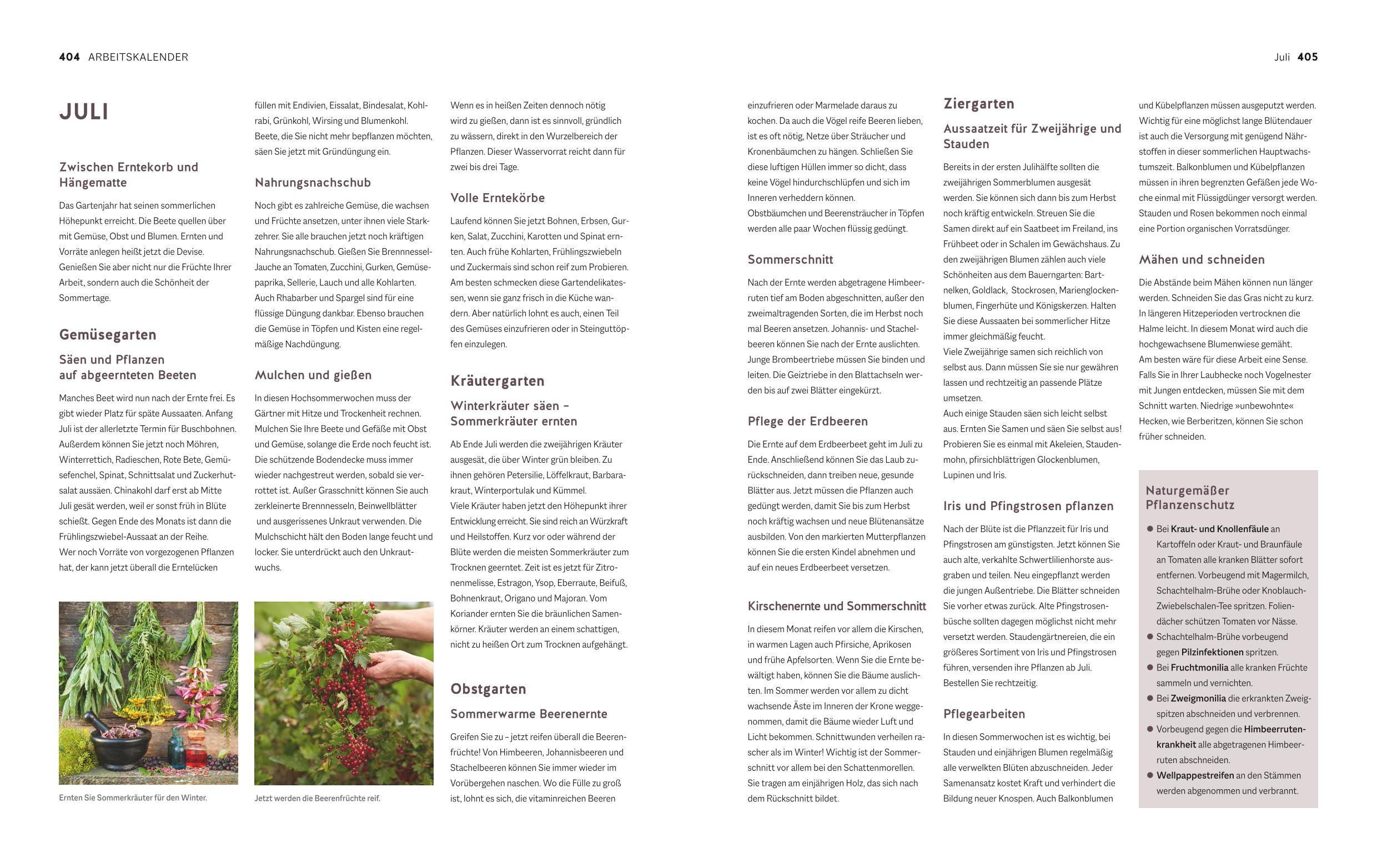 Beispielinhalt (Bild) Der Biogarten